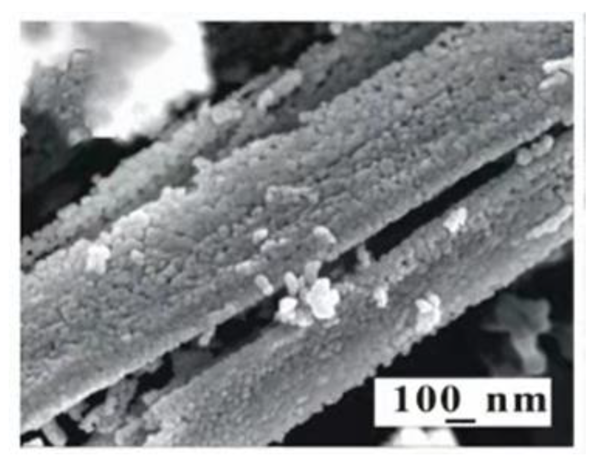 Chemosensors 09 00179 g001