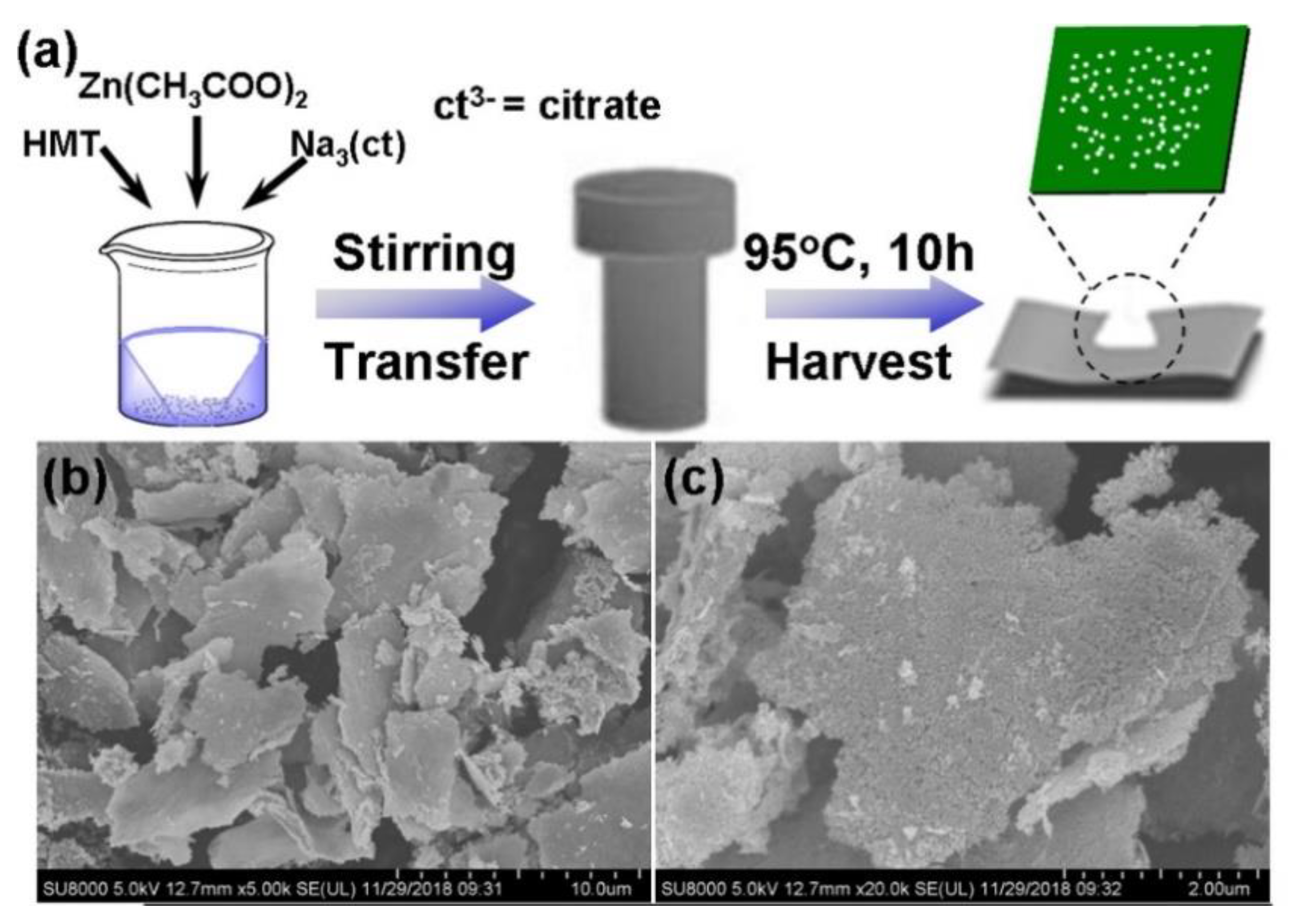 Chemosensors 09 00179 g003