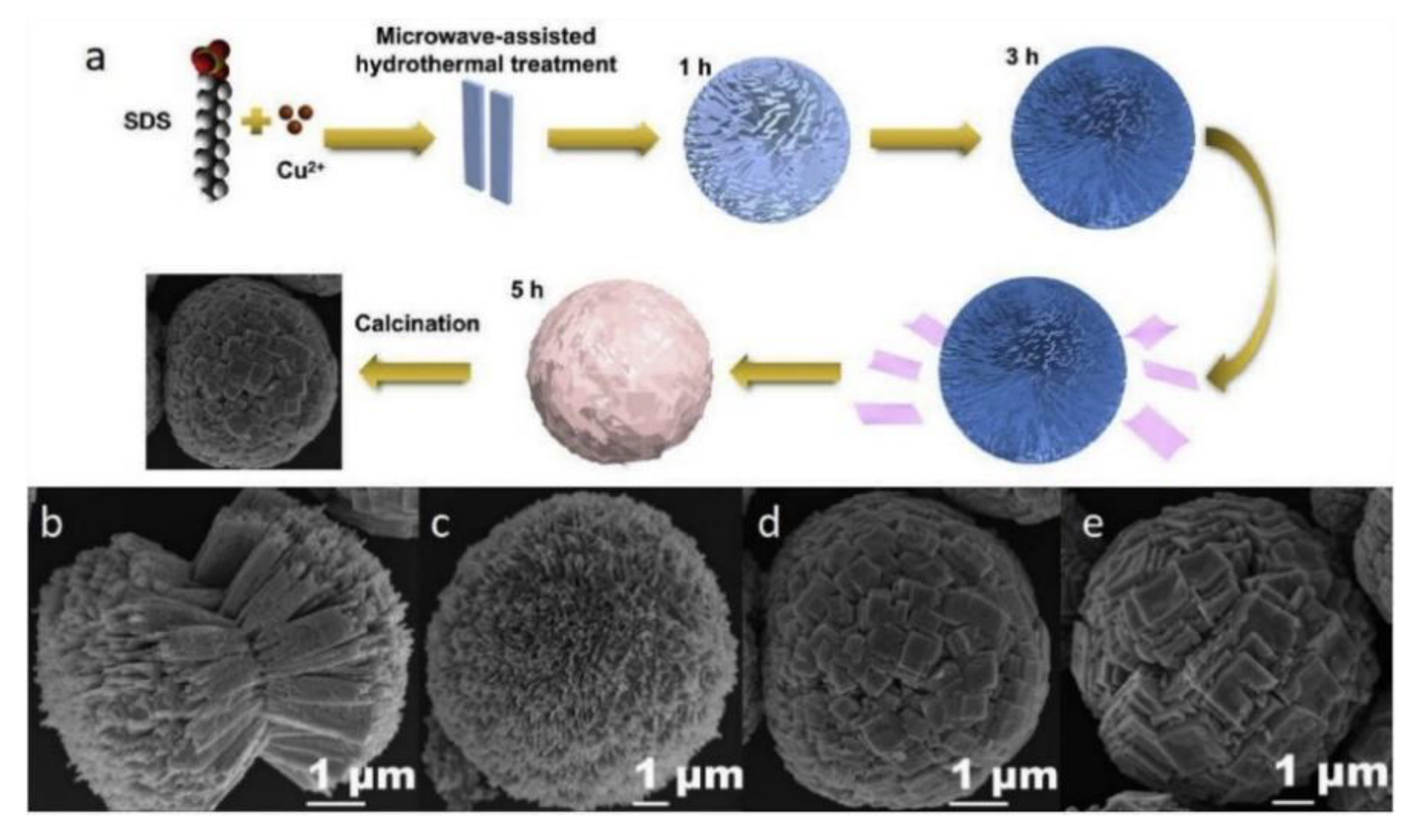 Chemosensors 09 00179 g005