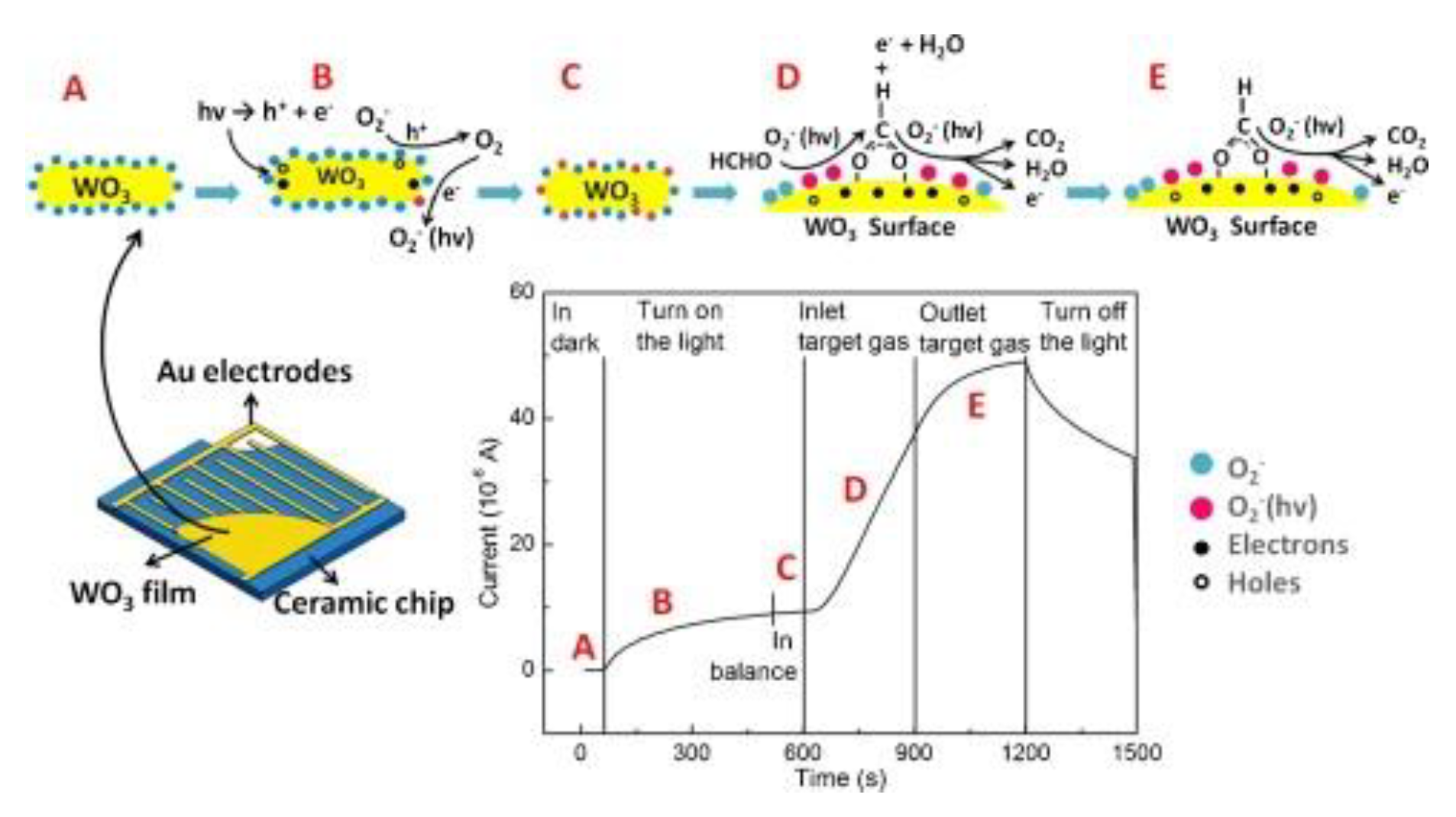 Chemosensors 09 00179 g019
