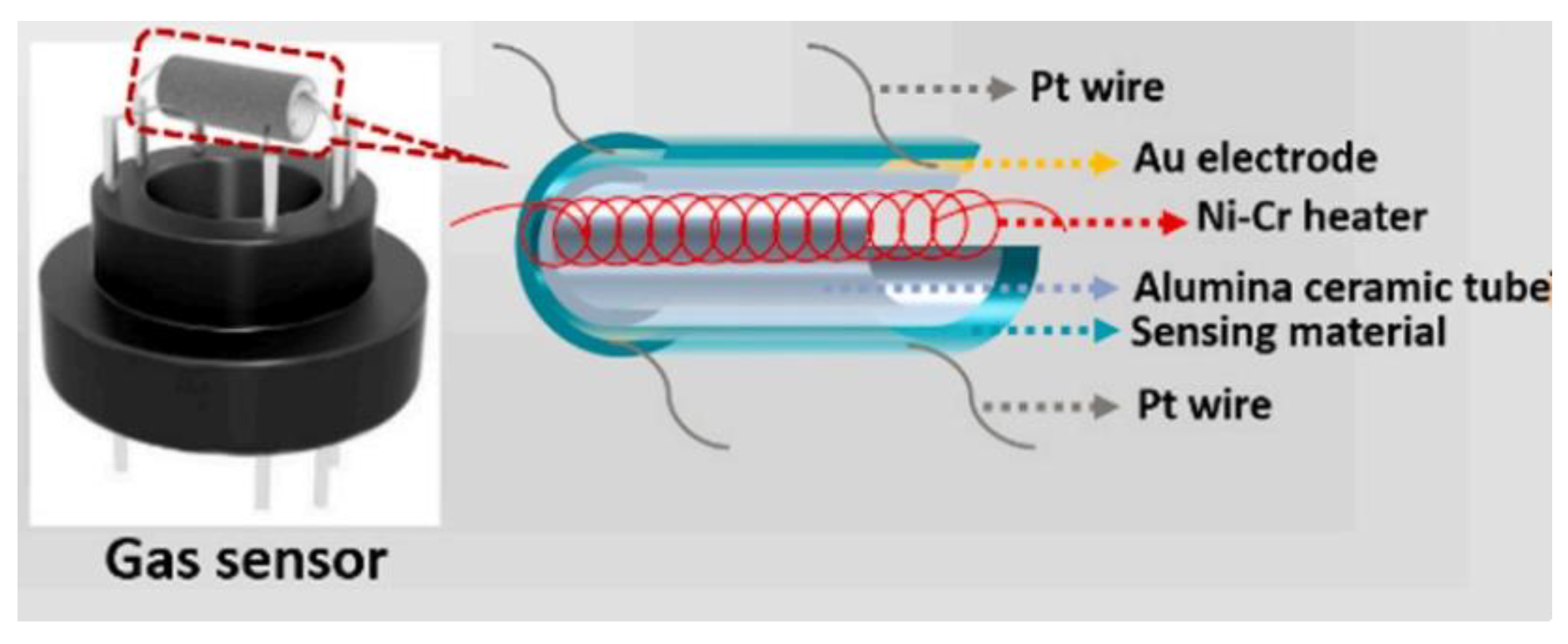Chemosensors 09 00179 g021