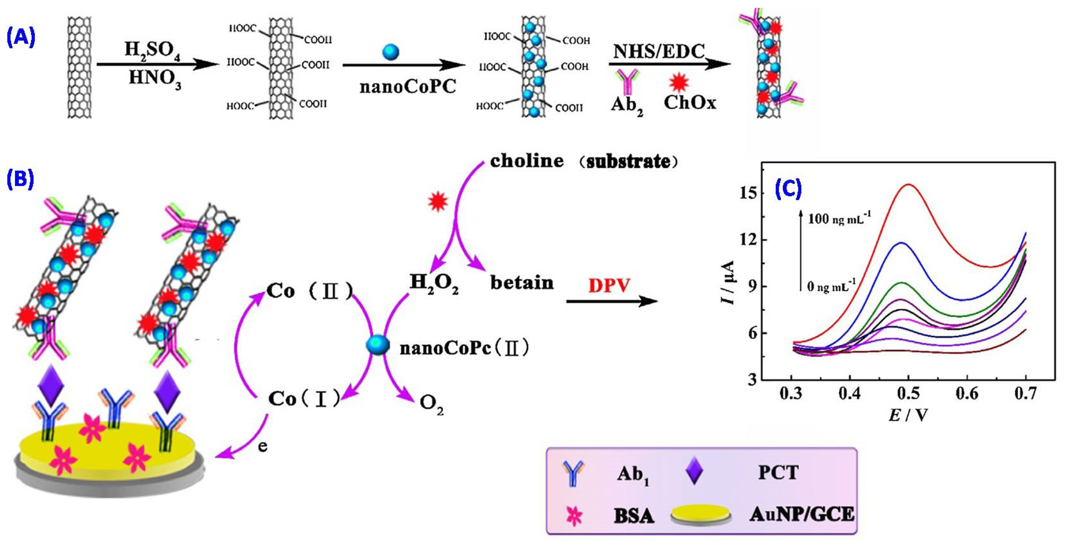 Chemosensors 09 00182 g007