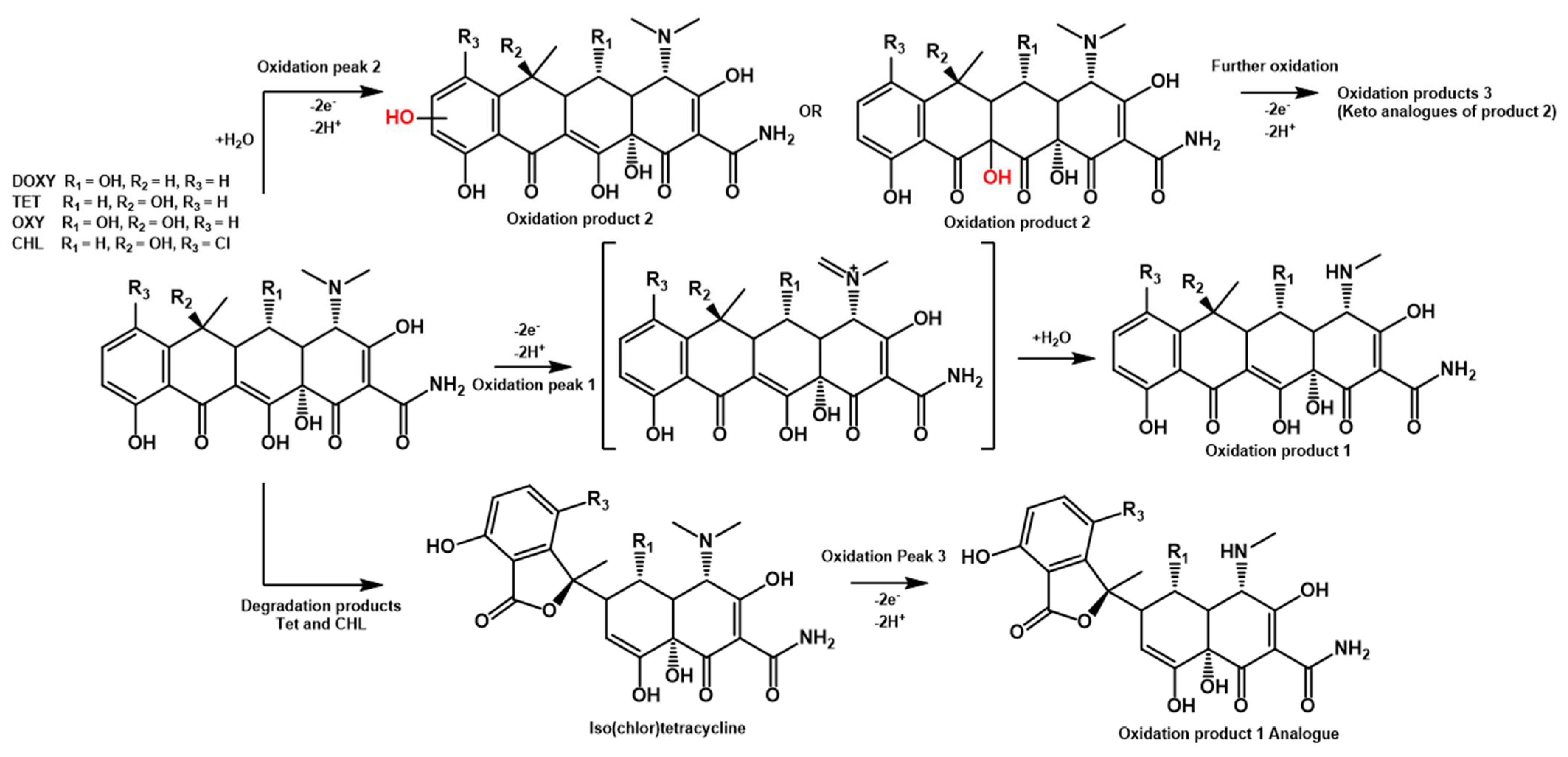 Chemosensors 09 00187 sch001