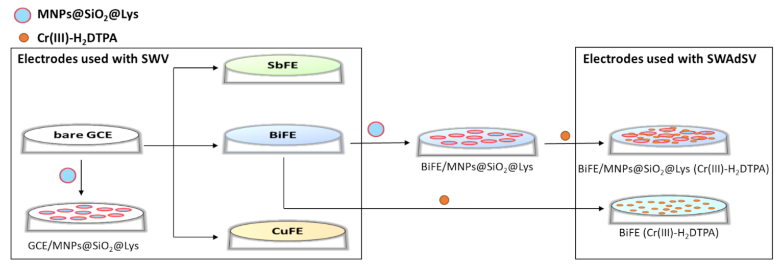 Chemosensors 09 00189 g001