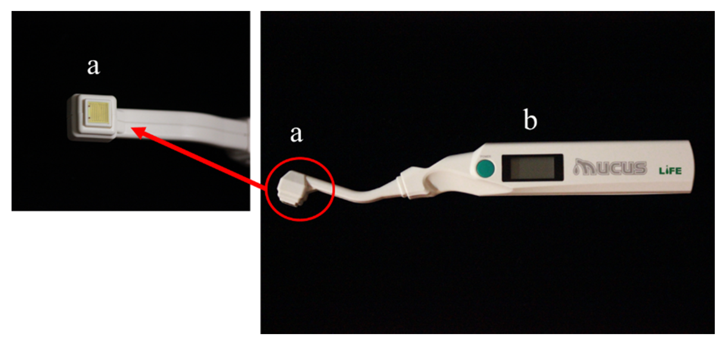Chemosensors 09 00196 g001