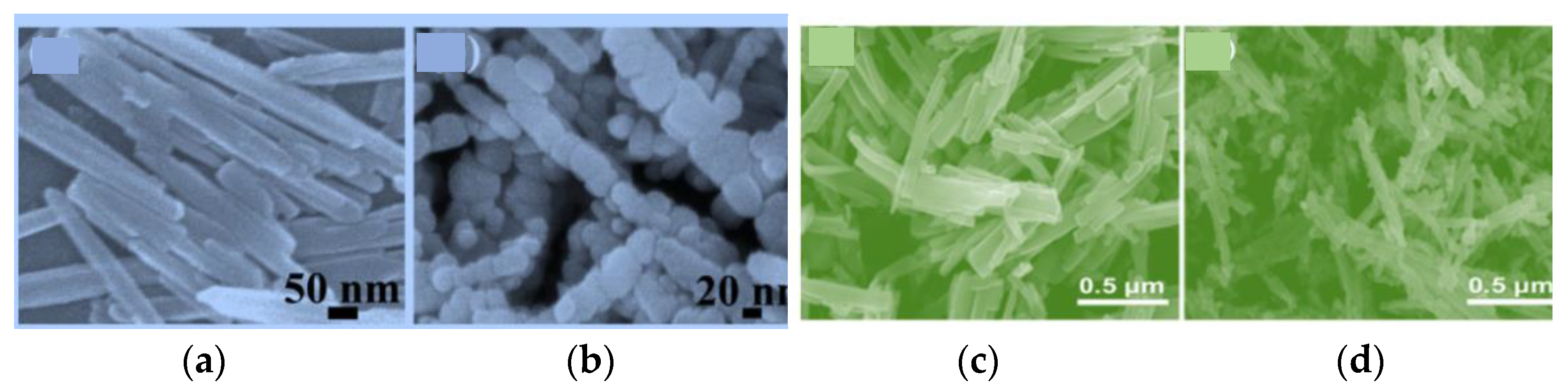 Chemosensors 09 00197 g009a