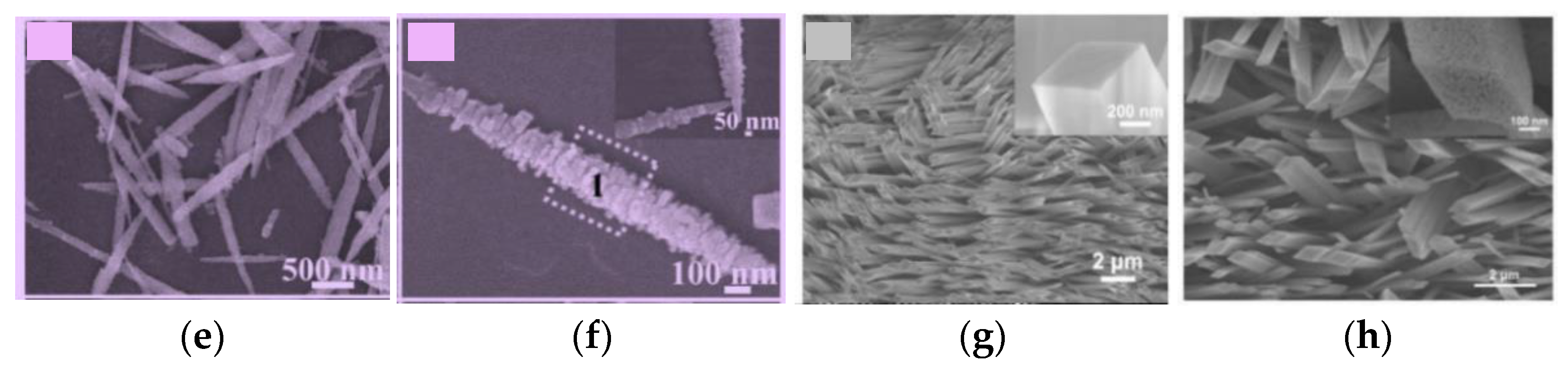 Chemosensors 09 00197 g009b
