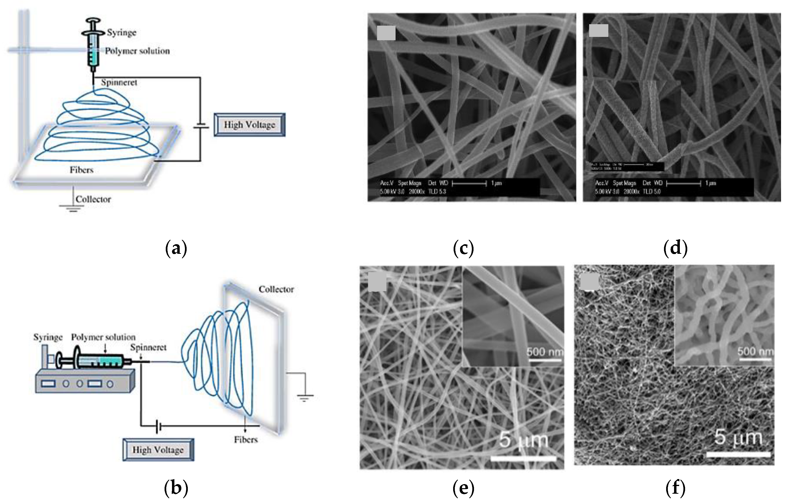 Chemosensors 09 00197 g010