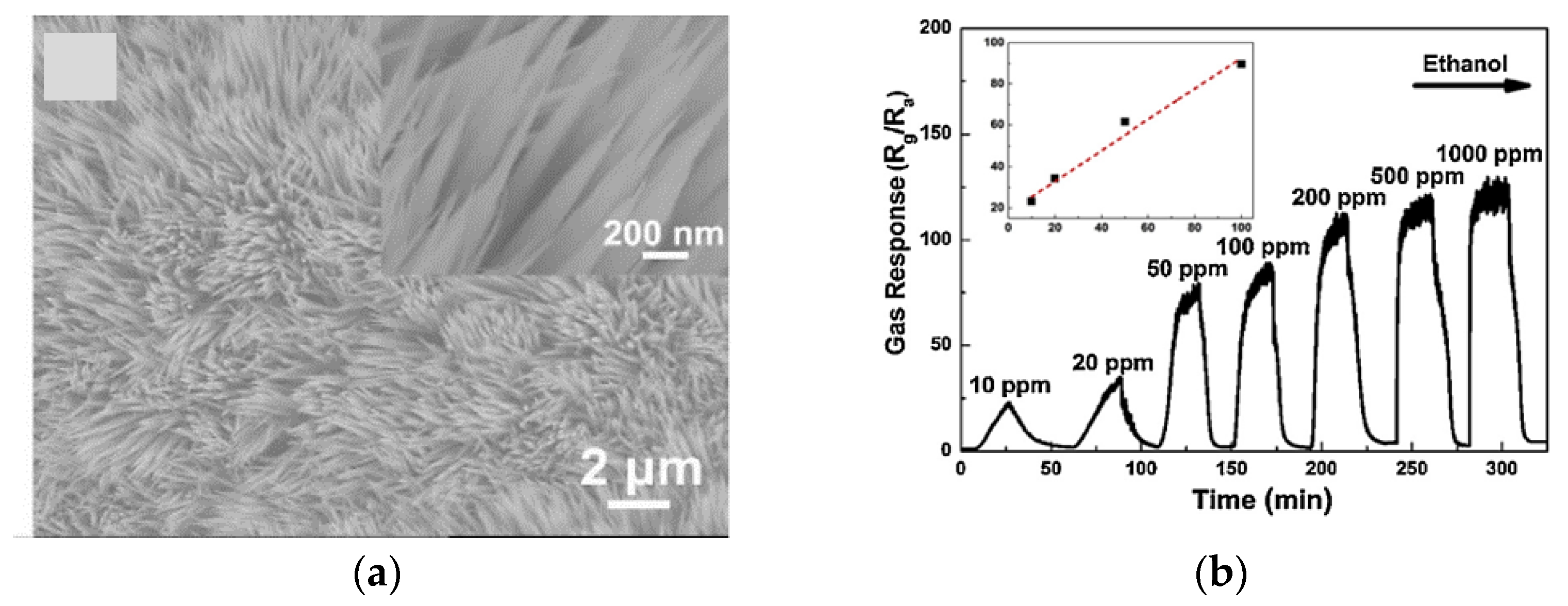 Chemosensors 09 00197 g012