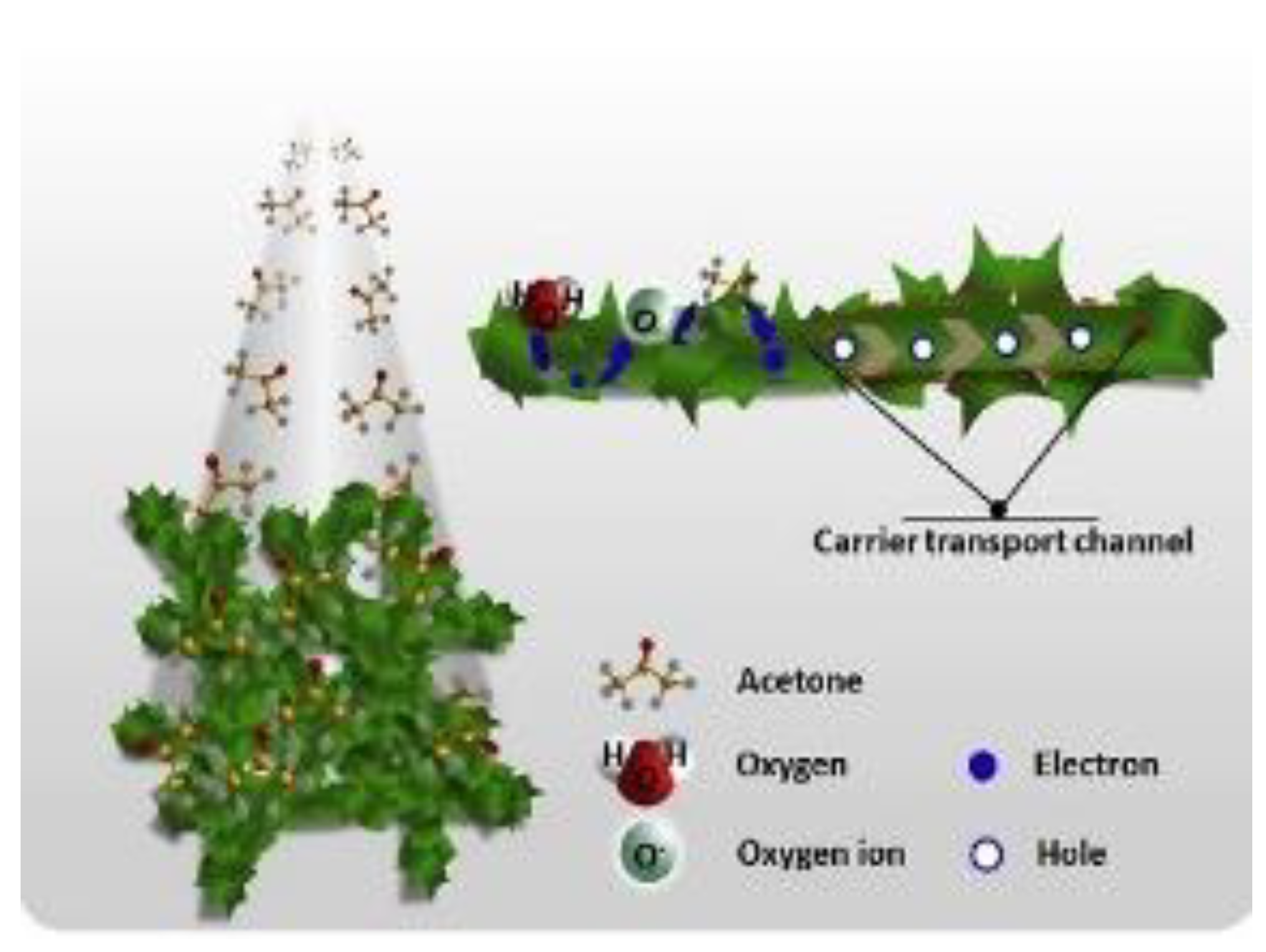 Chemosensors 09 00197 g013