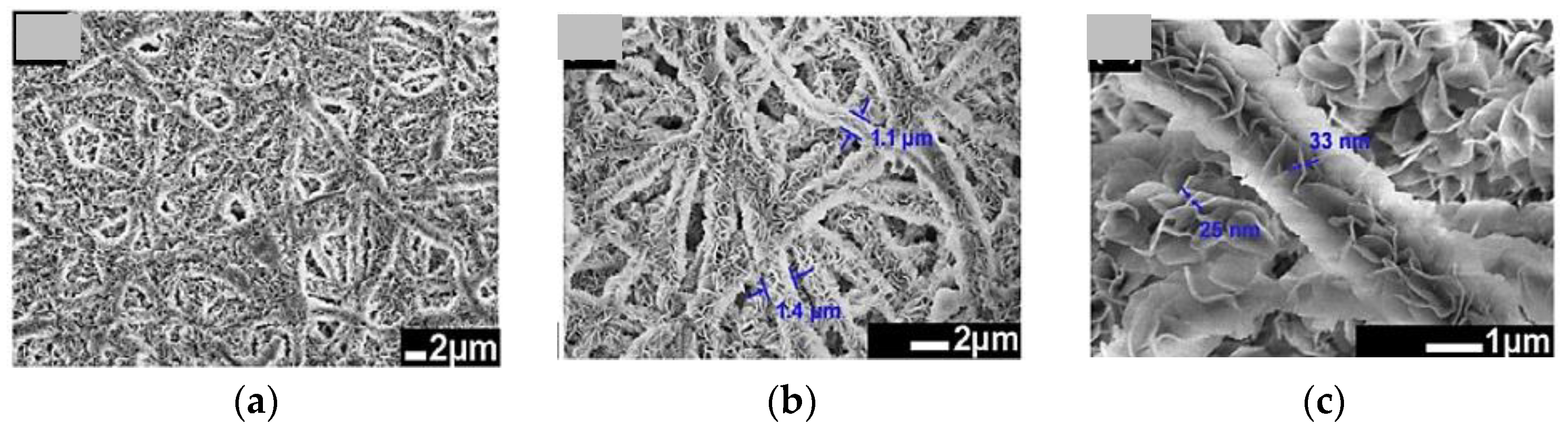 Chemosensors 09 00197 g014
