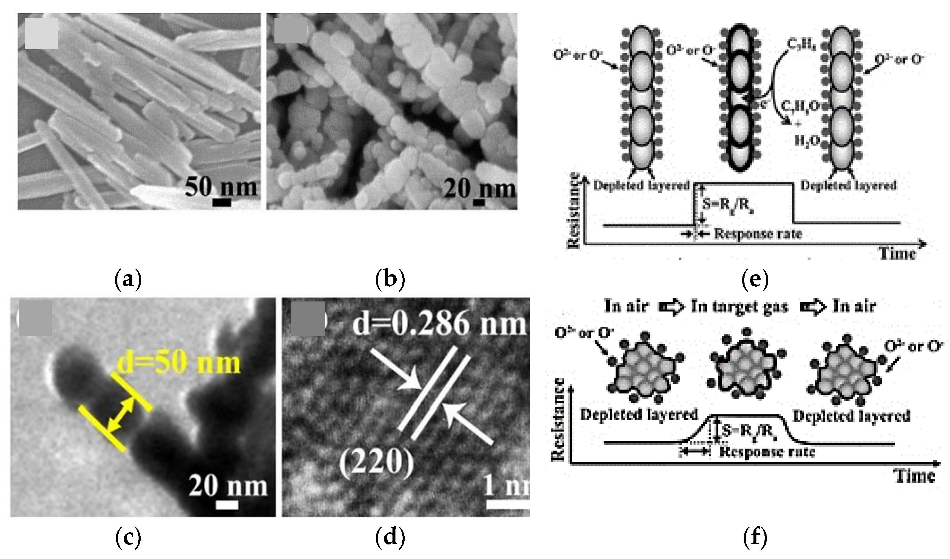 Chemosensors 09 00197 g016