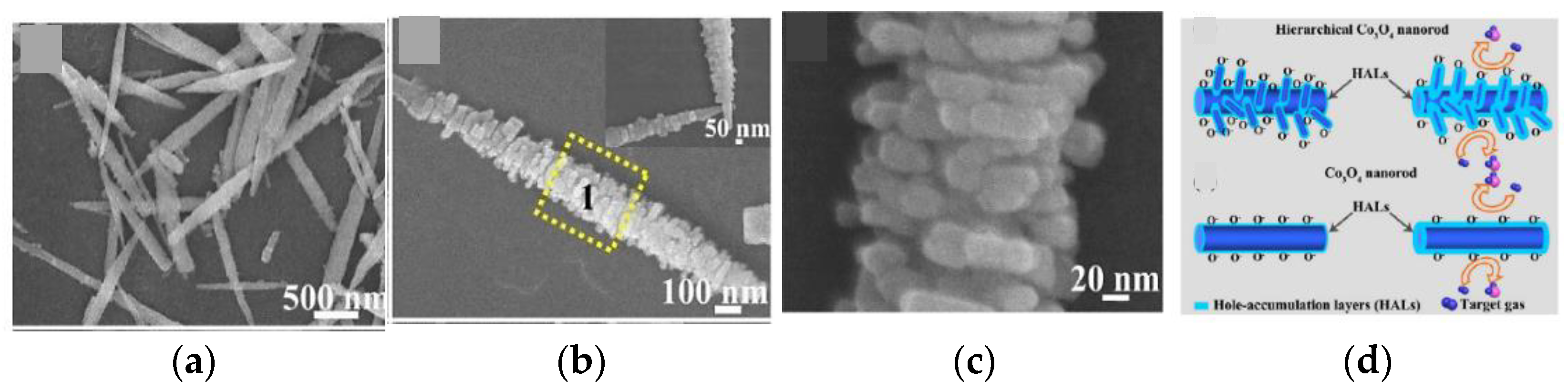 Chemosensors 09 00197 g017