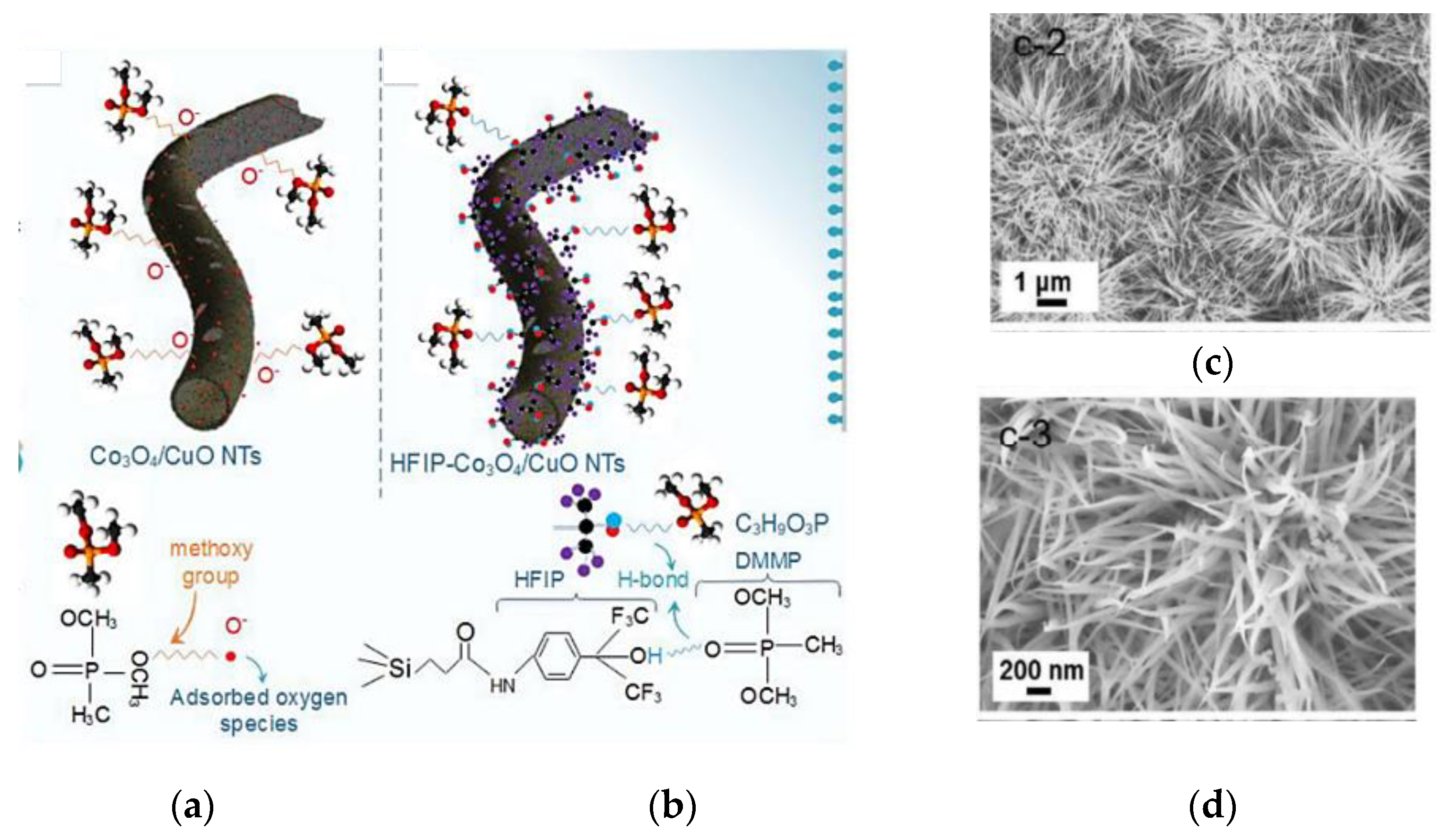Chemosensors 09 00197 g022