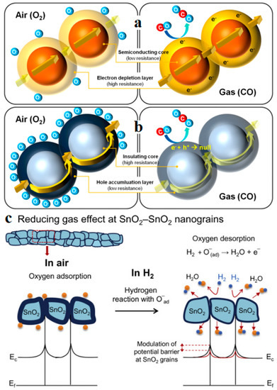 Chemosensors 09 00198 g004 550