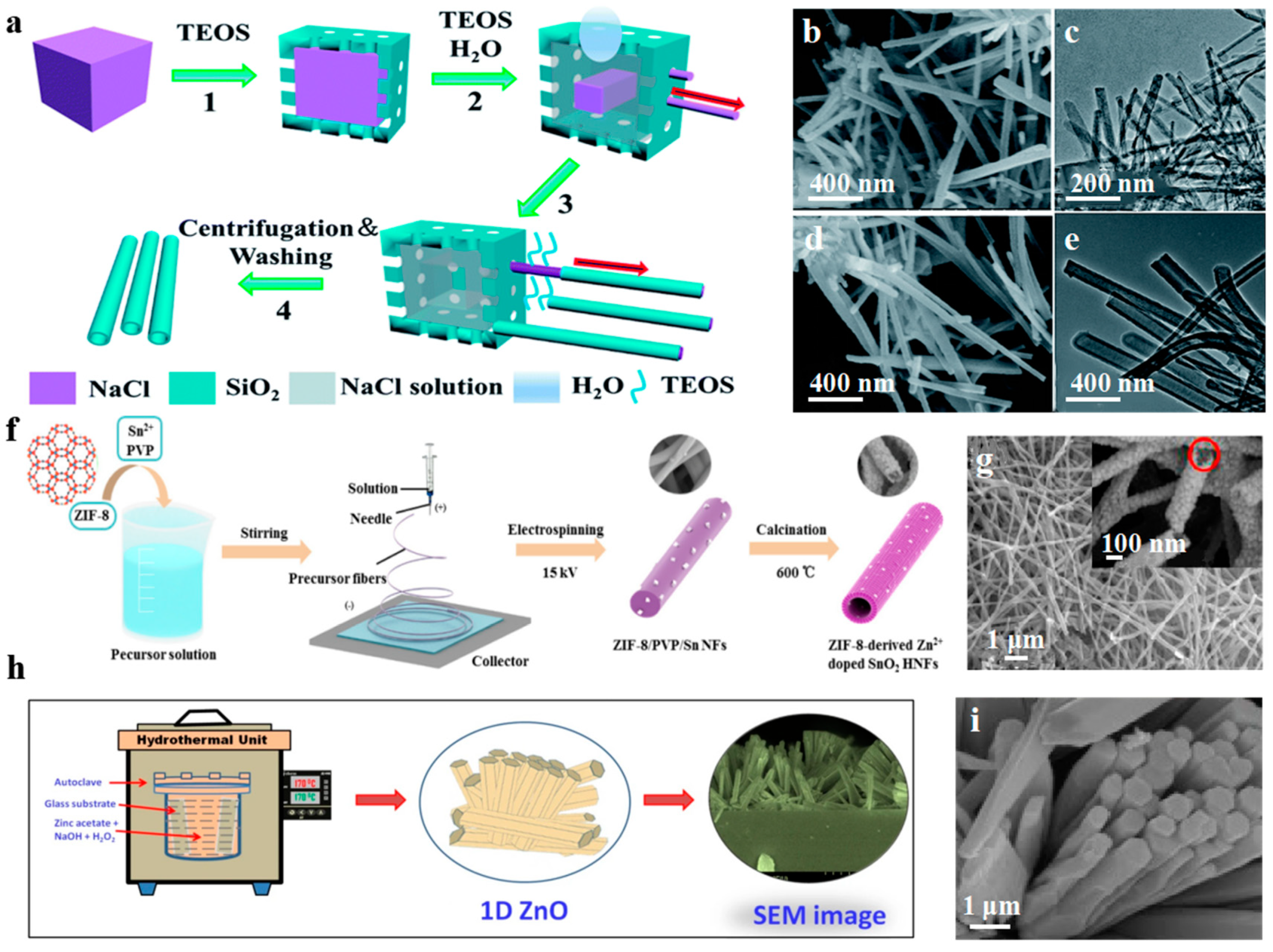 Chemosensors 09 00198 g006