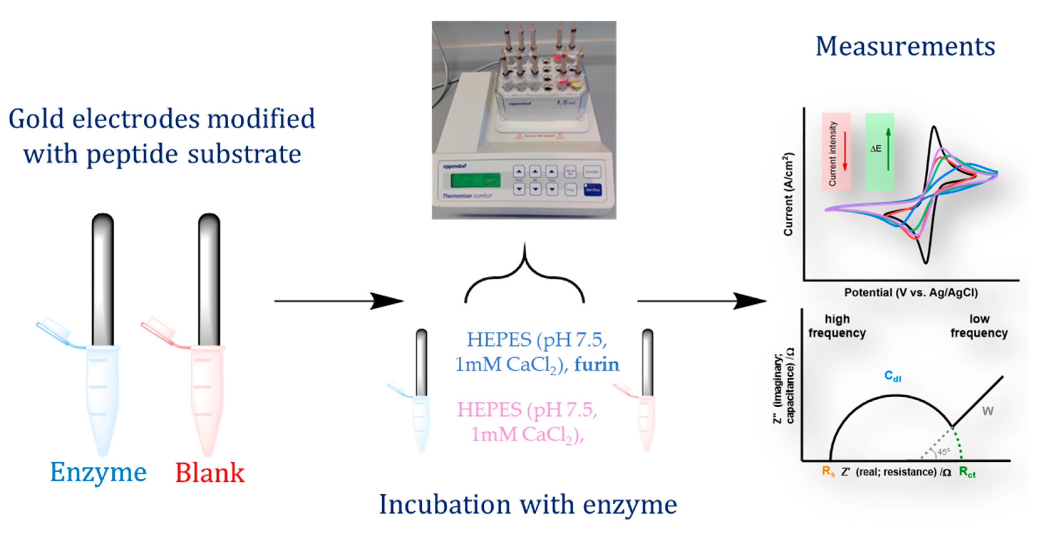 Chemosensors 09 00199 g001