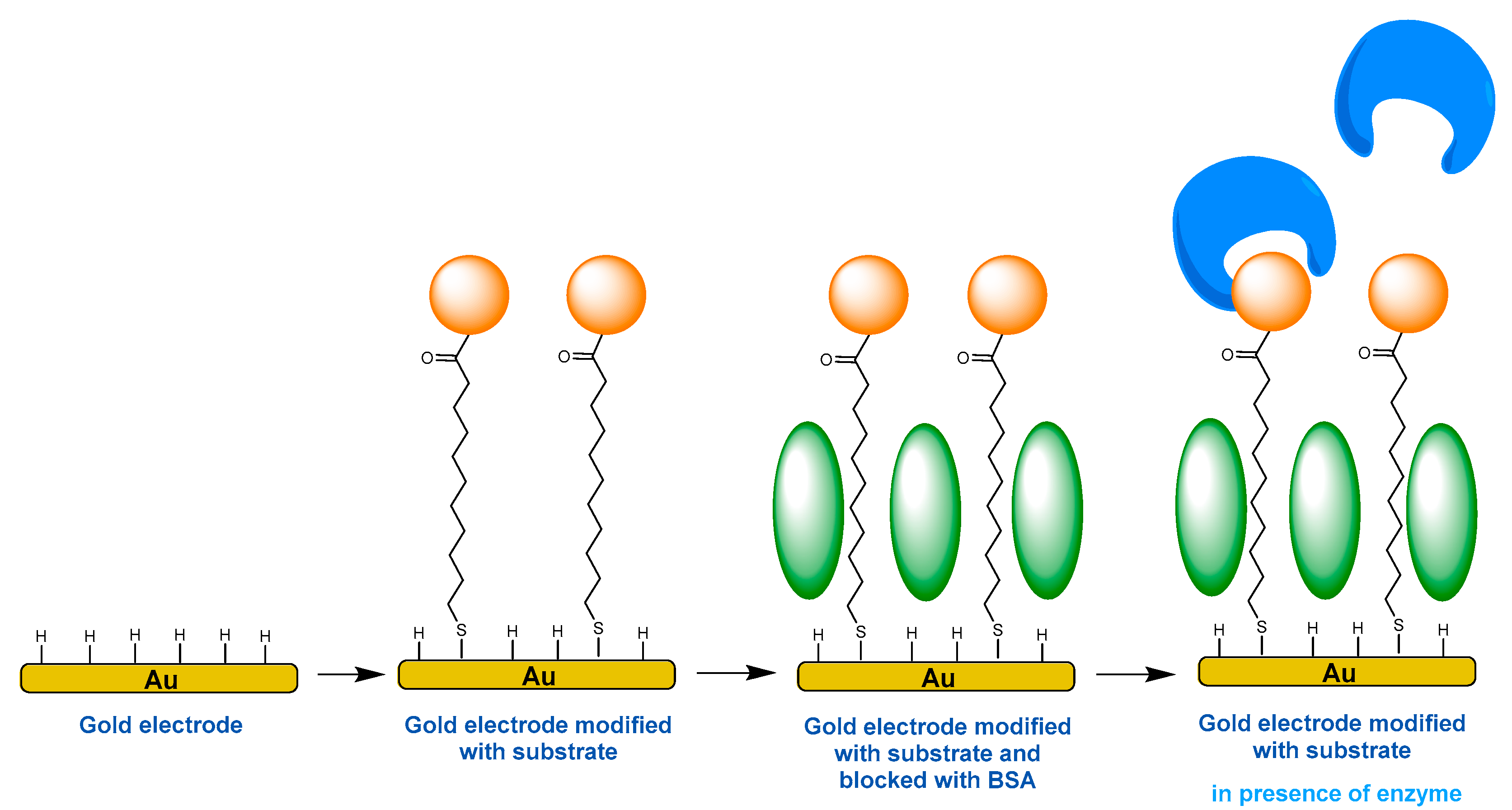 Chemosensors 09 00199 g002