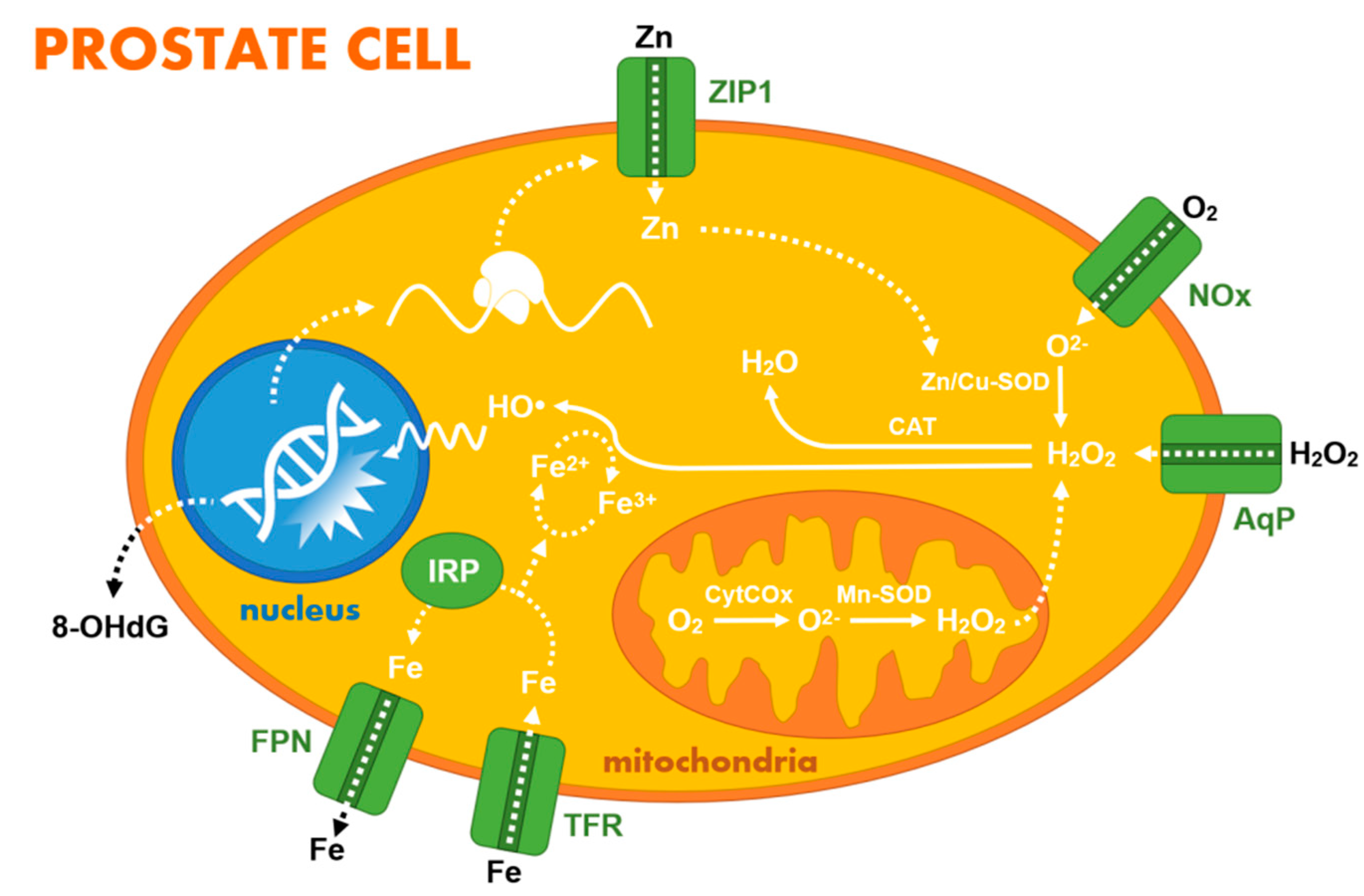 Chemosensors 09 00205 g002