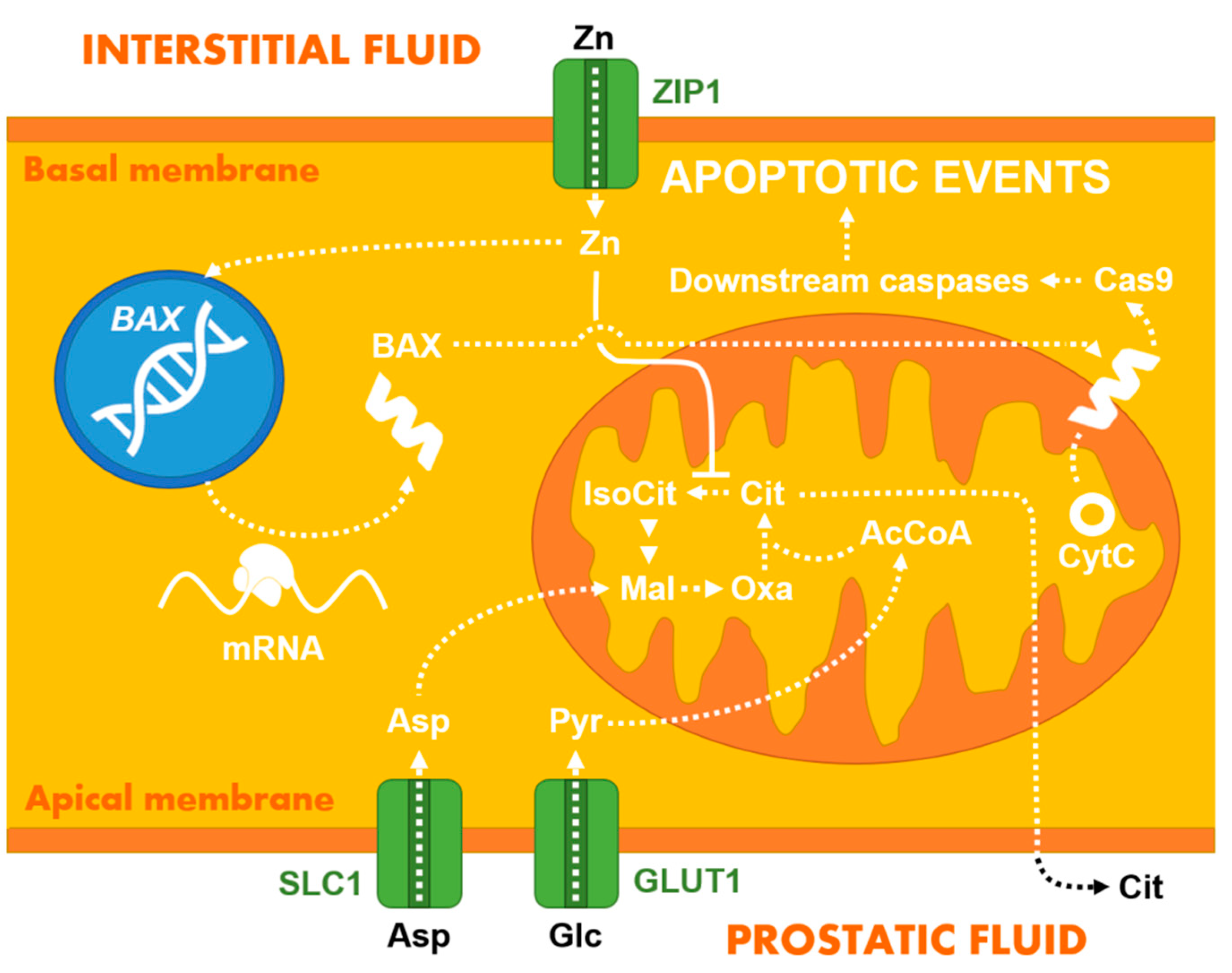 Chemosensors 09 00205 g003