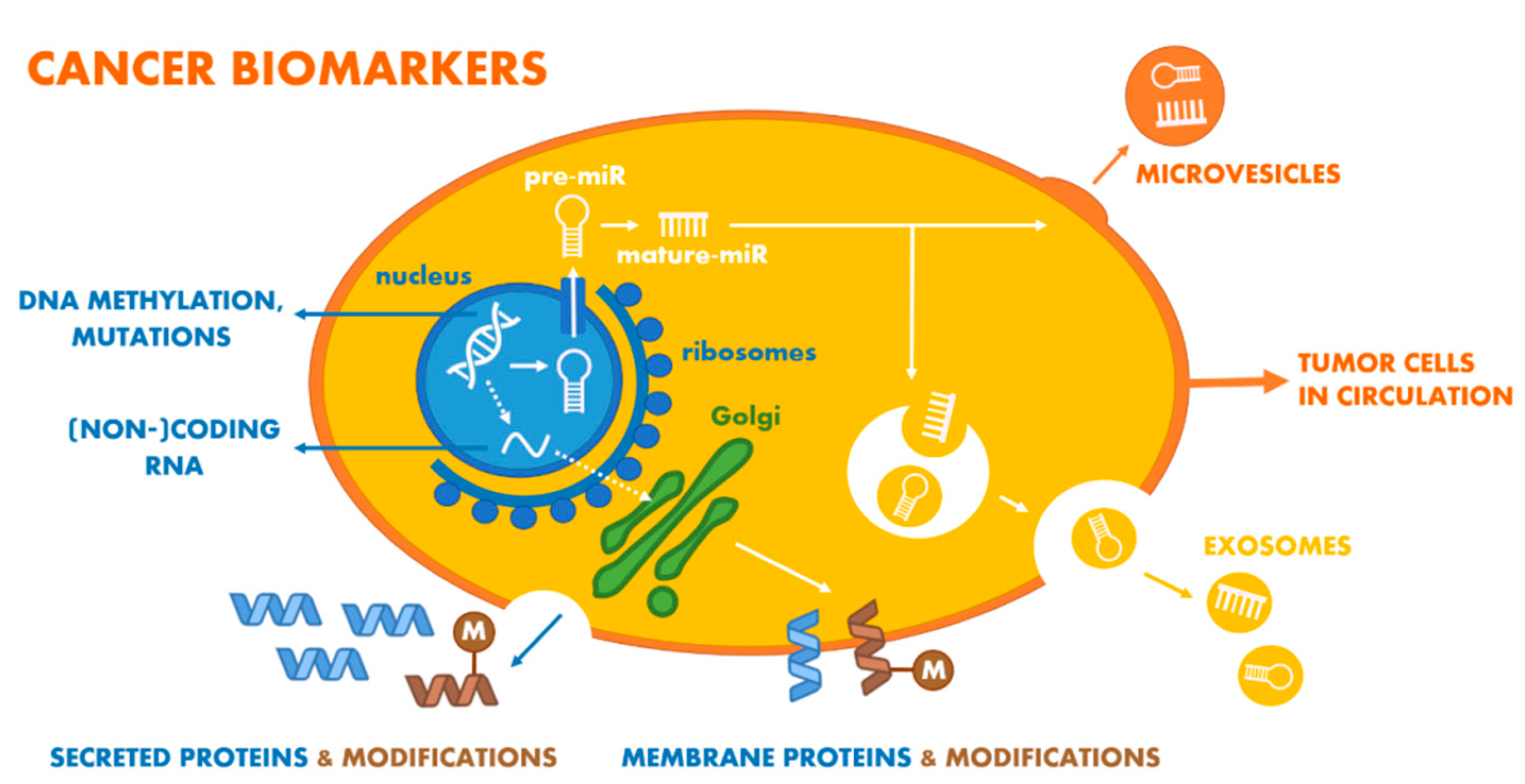 Chemosensors 09 00205 g004