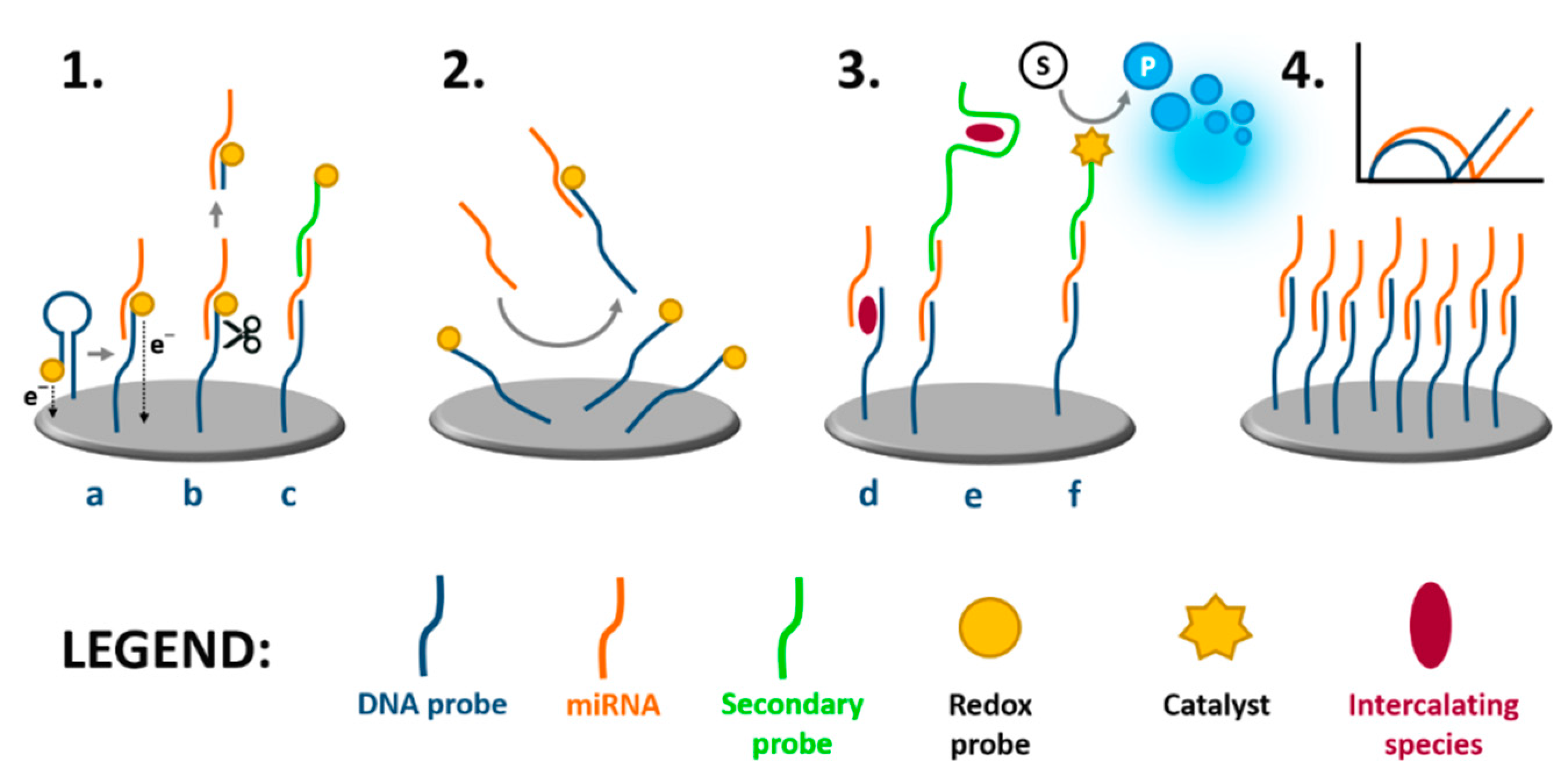 Chemosensors 09 00205 g005