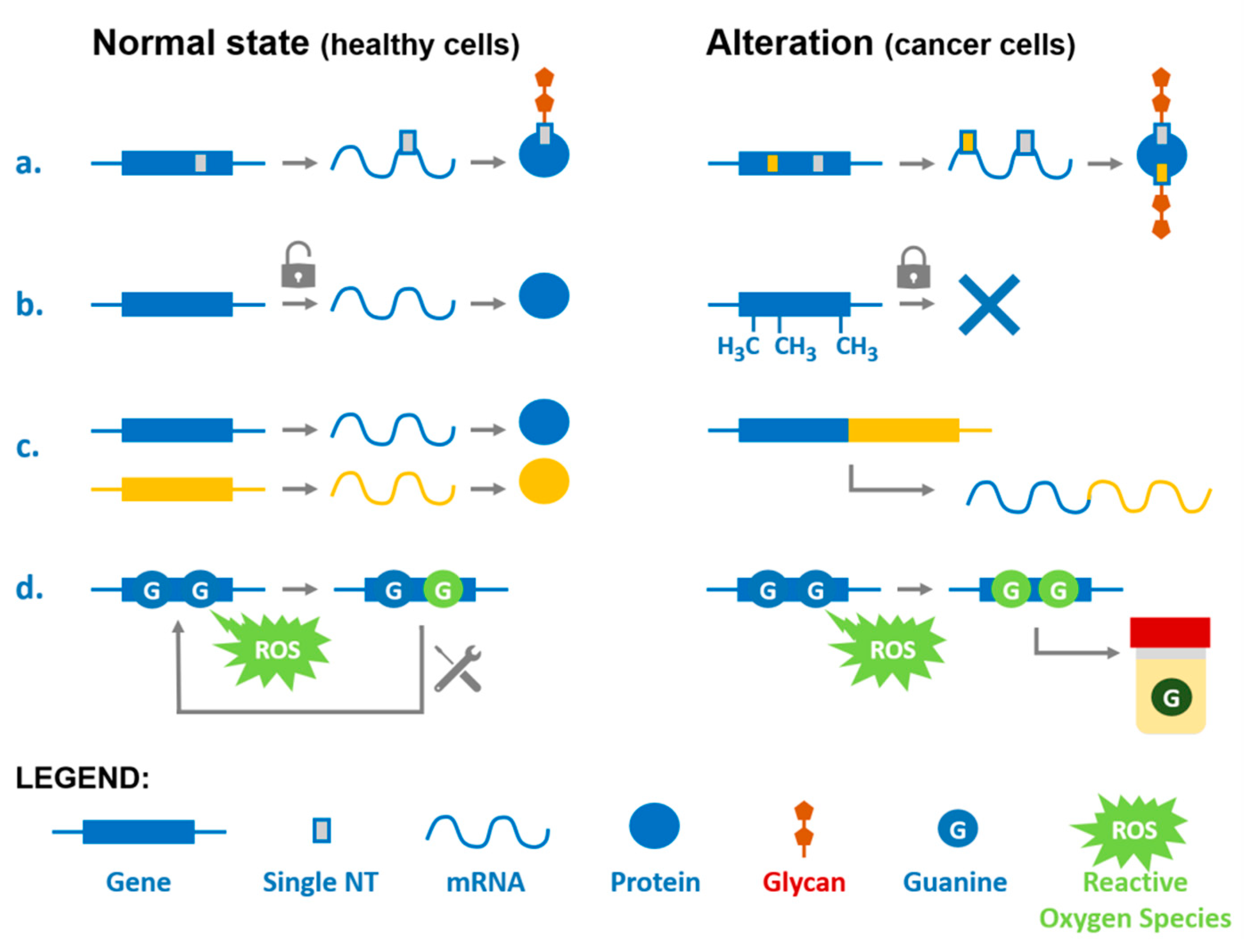 Chemosensors 09 00205 g006