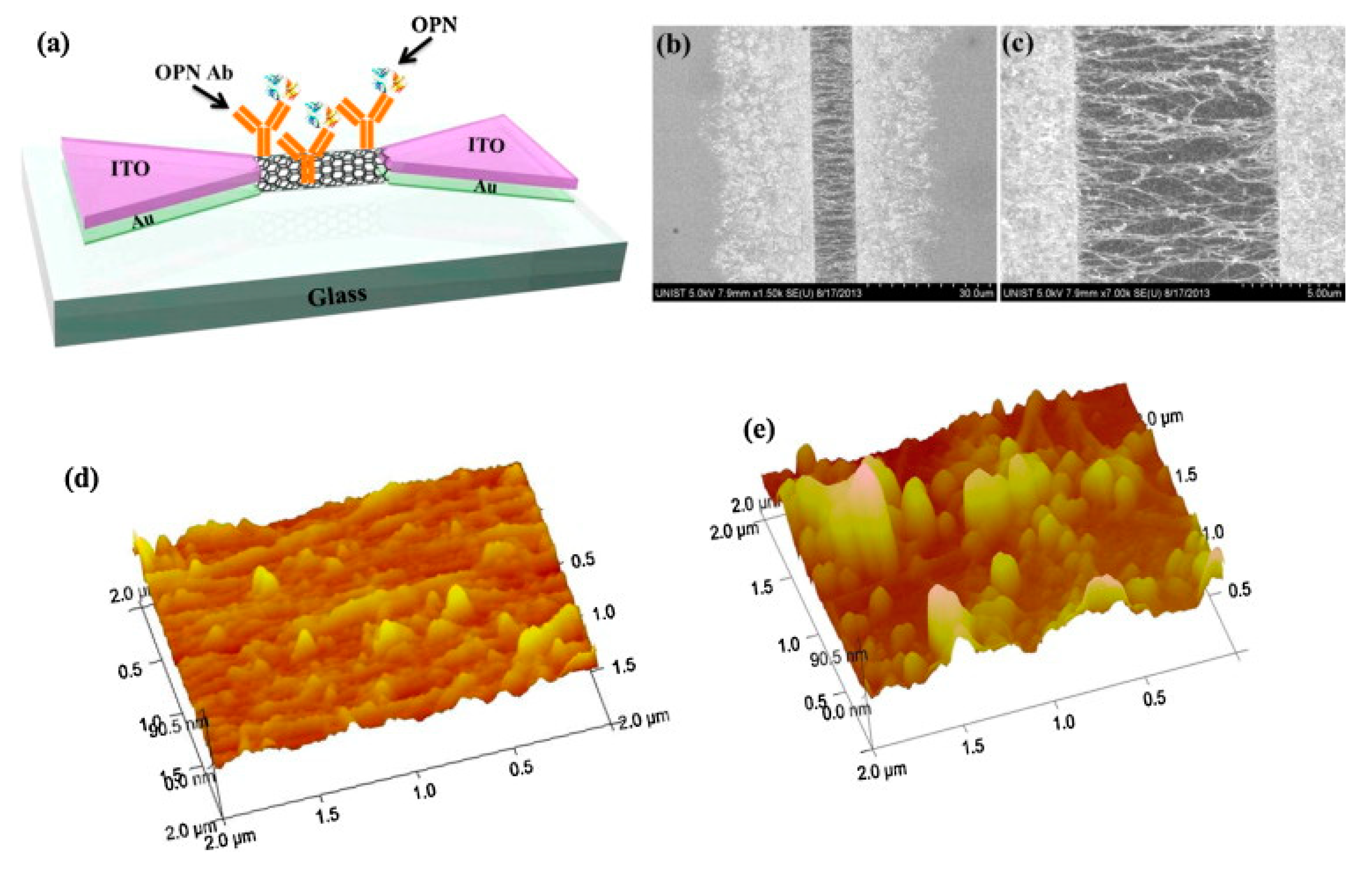 Chemosensors 09 00205 g007