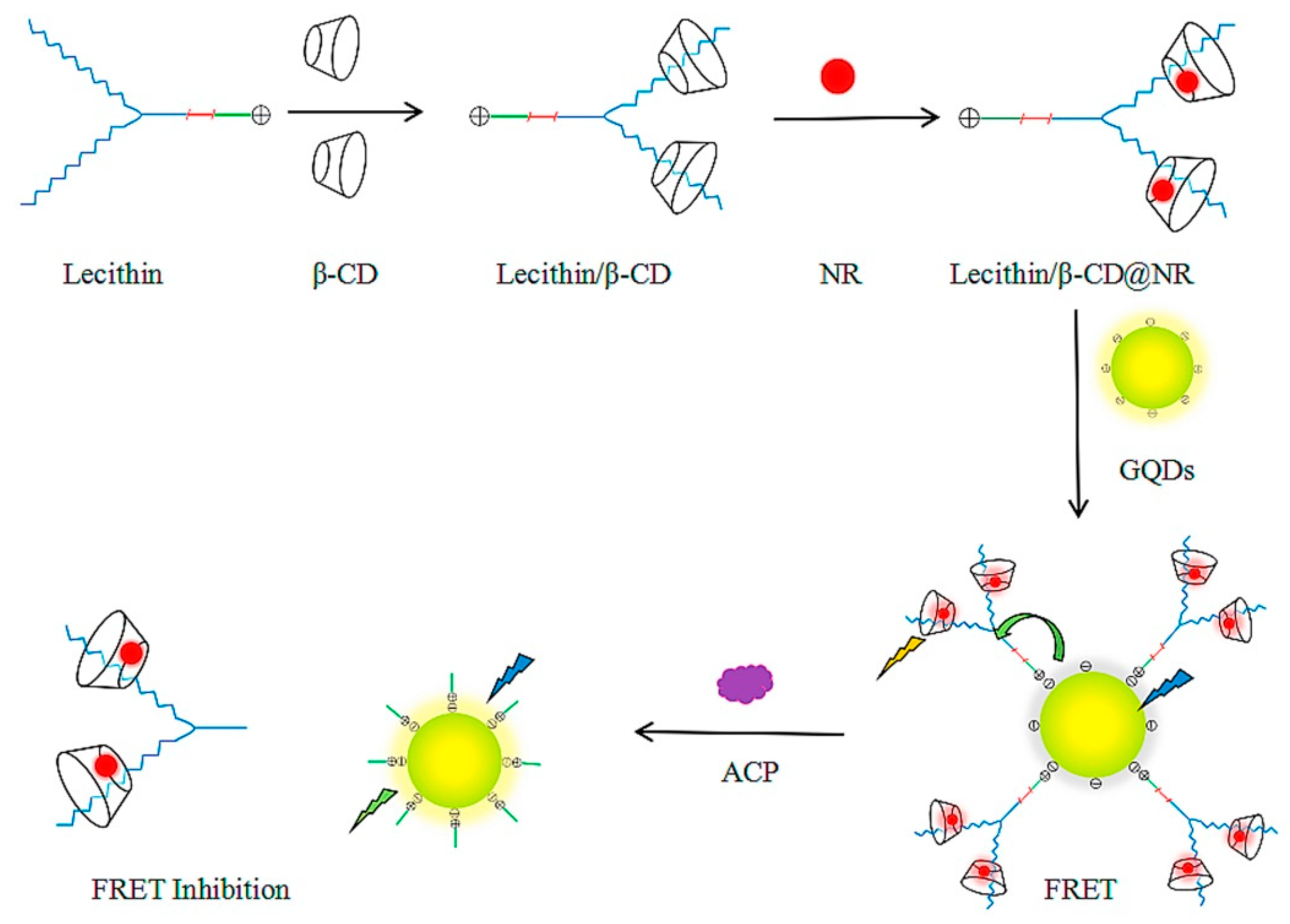 Chemosensors 09 00205 g008