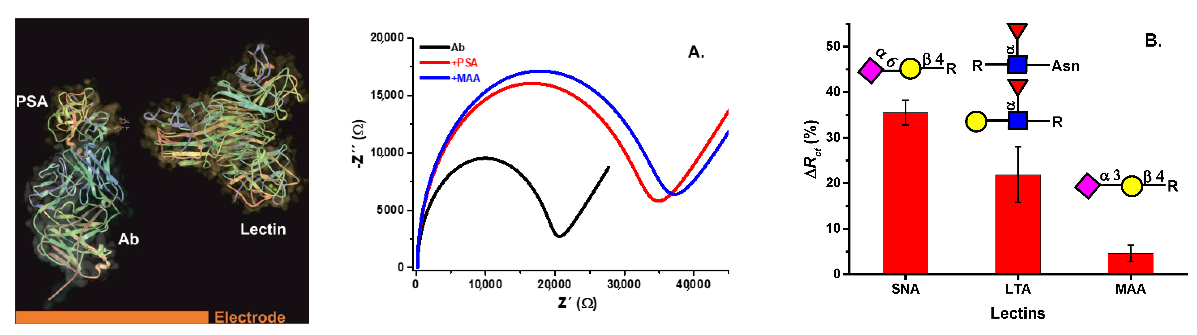 Chemosensors 09 00205 g009