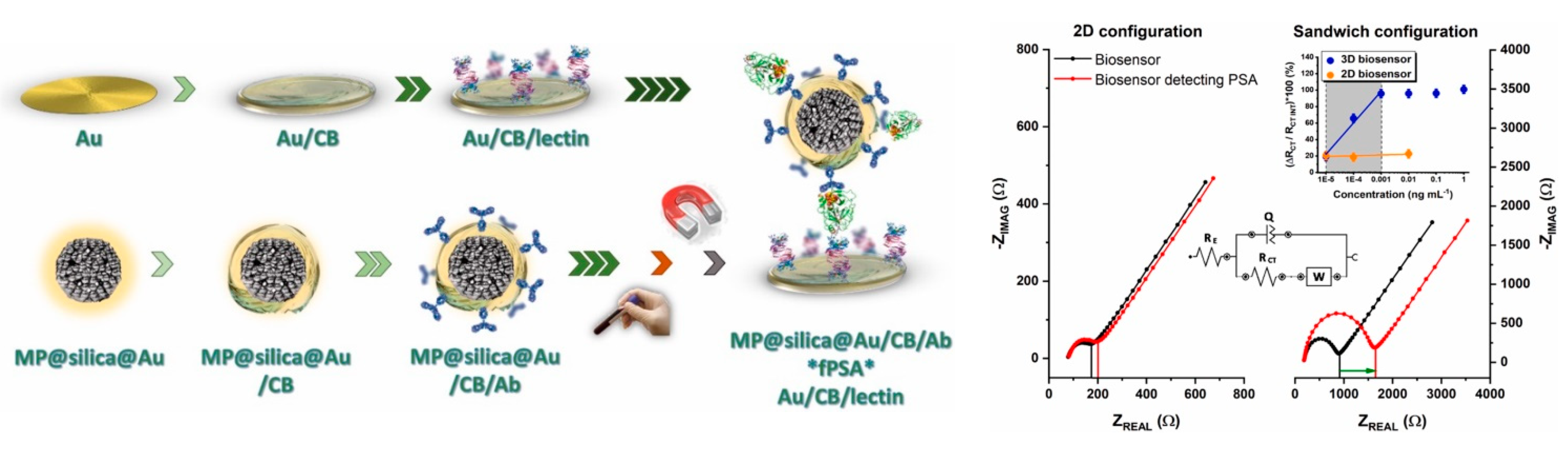 Chemosensors 09 00205 g010