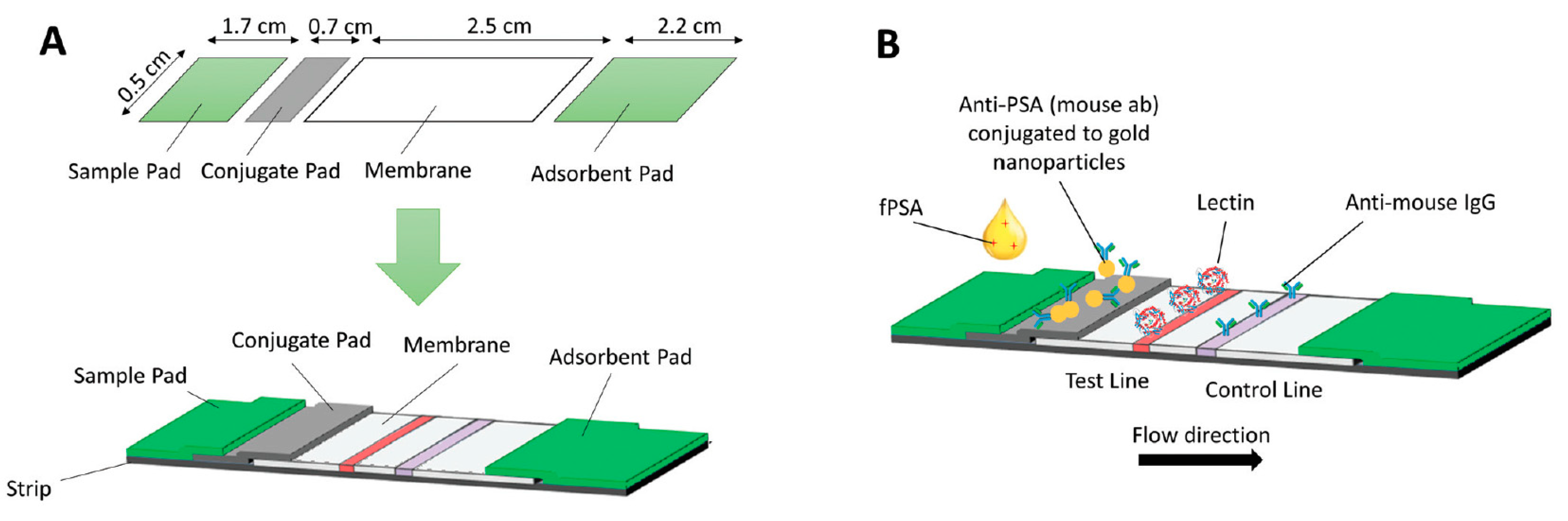 Chemosensors 09 00205 g011