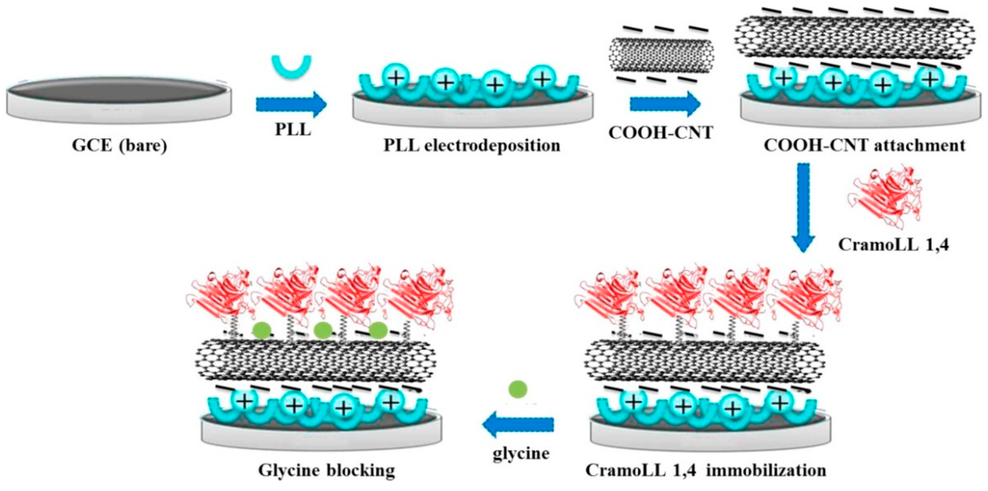 Chemosensors 09 00205 g012