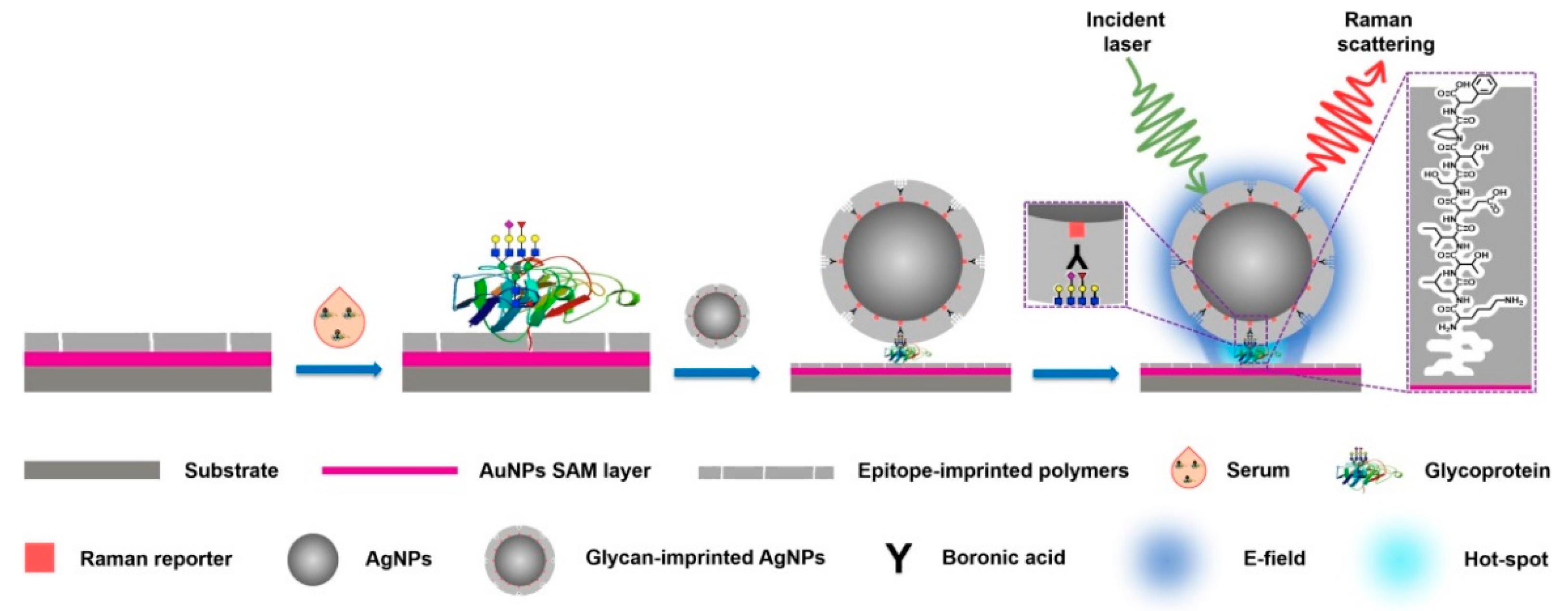 Chemosensors 09 00205 g015