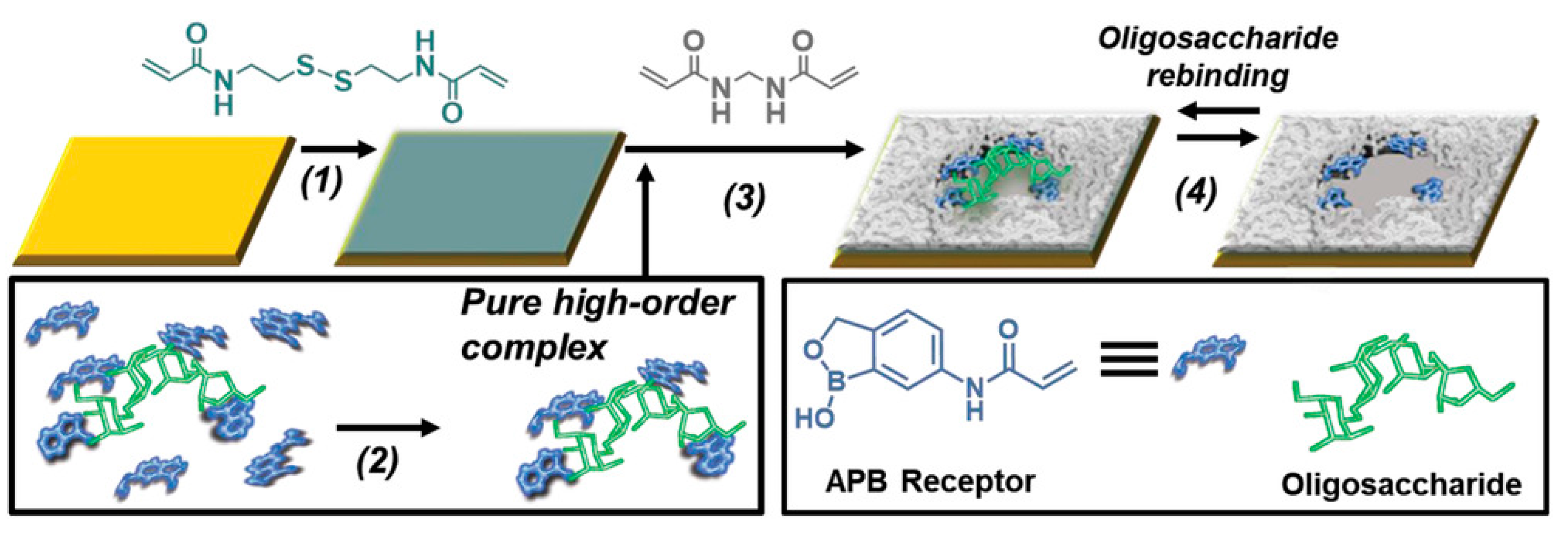 Chemosensors 09 00205 g016