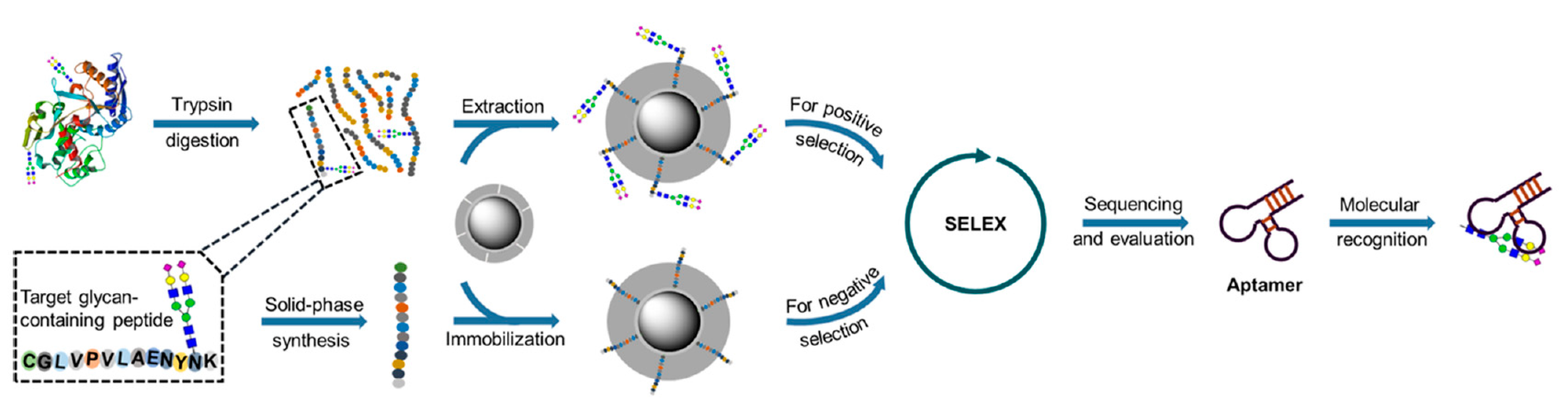 Chemosensors 09 00205 g017
