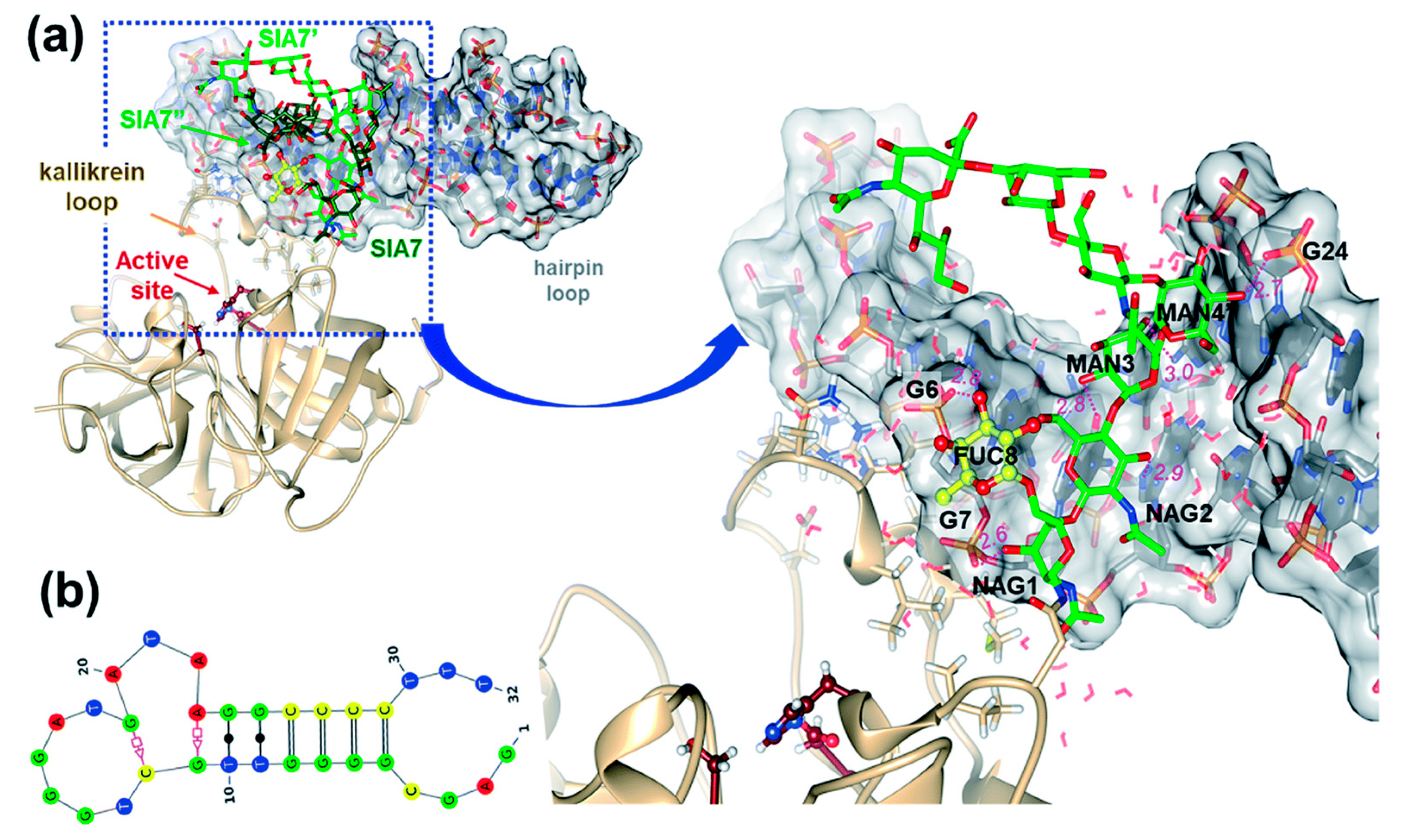 Chemosensors 09 00205 g018