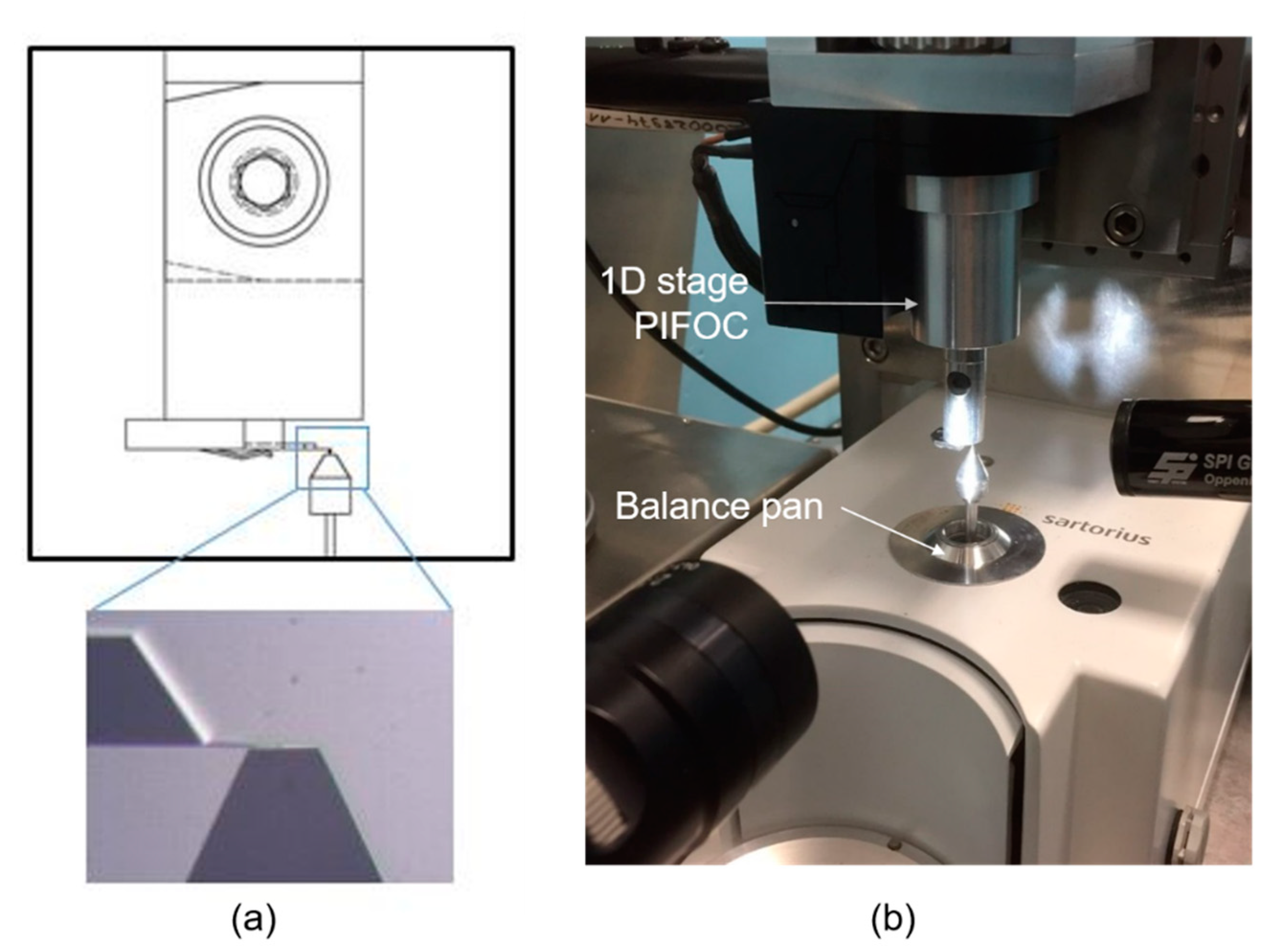 Chemosensors 09 00207 g001
