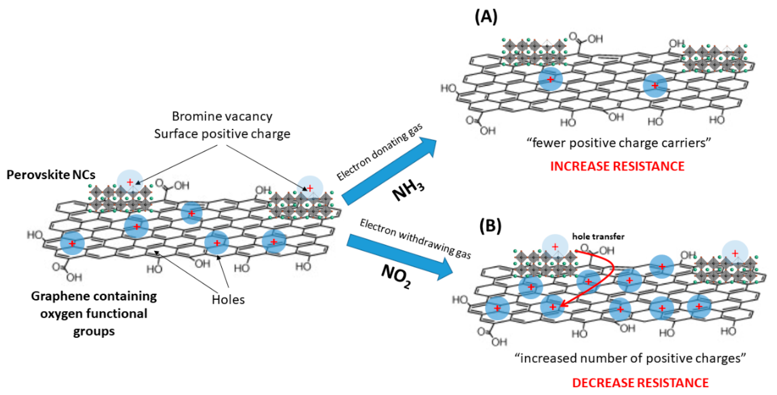 Chemosensors 09 00215 g006