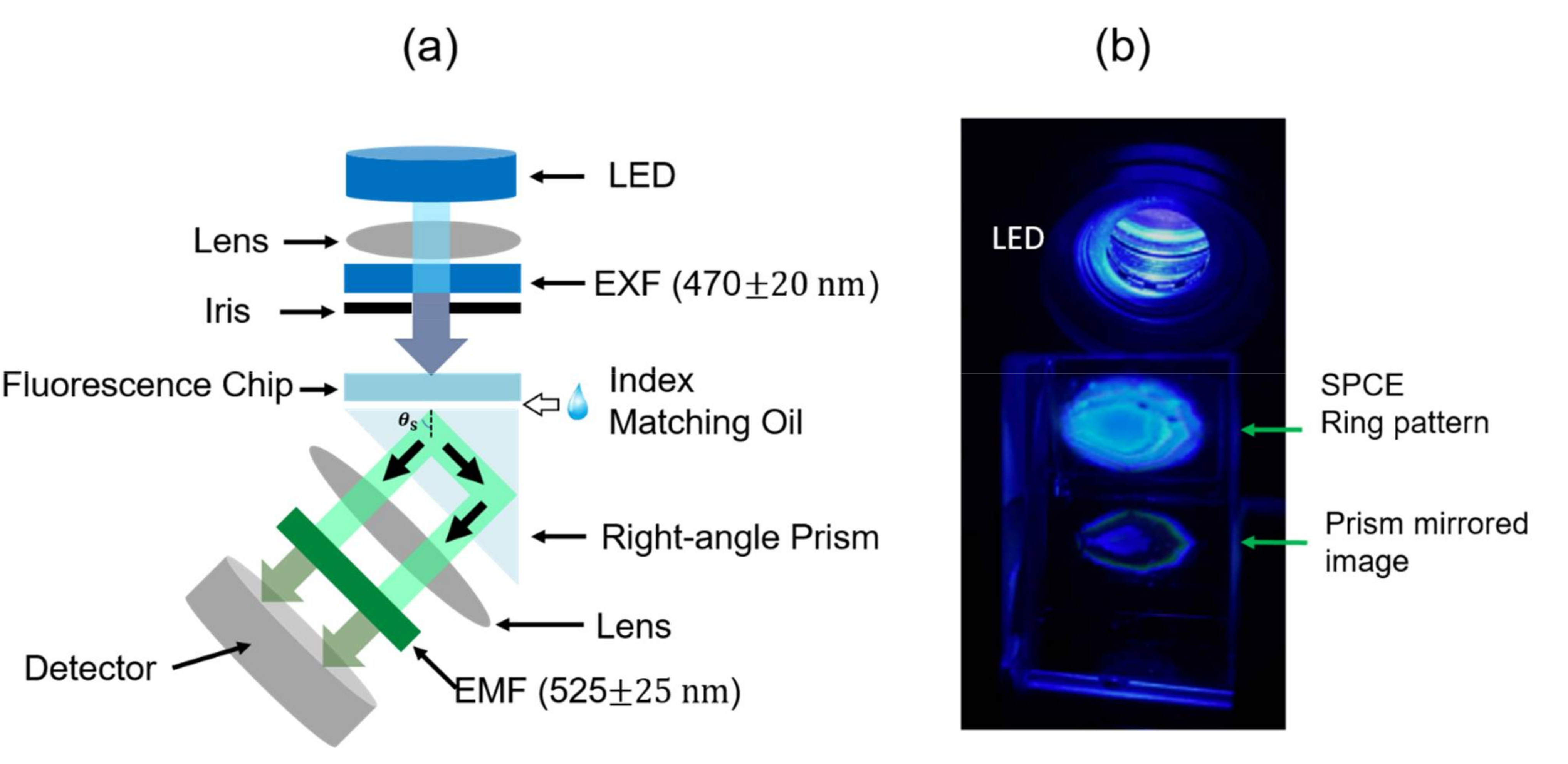 Chemosensors 09 00217 g003