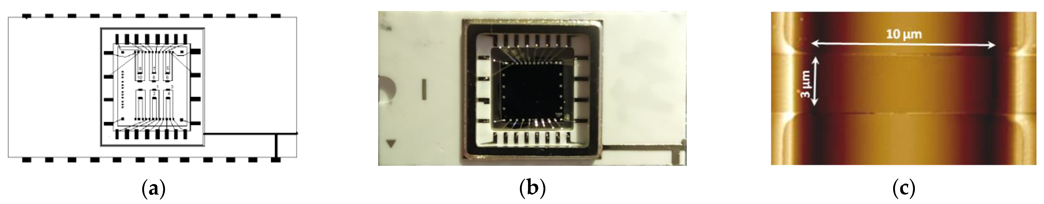 Chemosensors 09 00222 g001