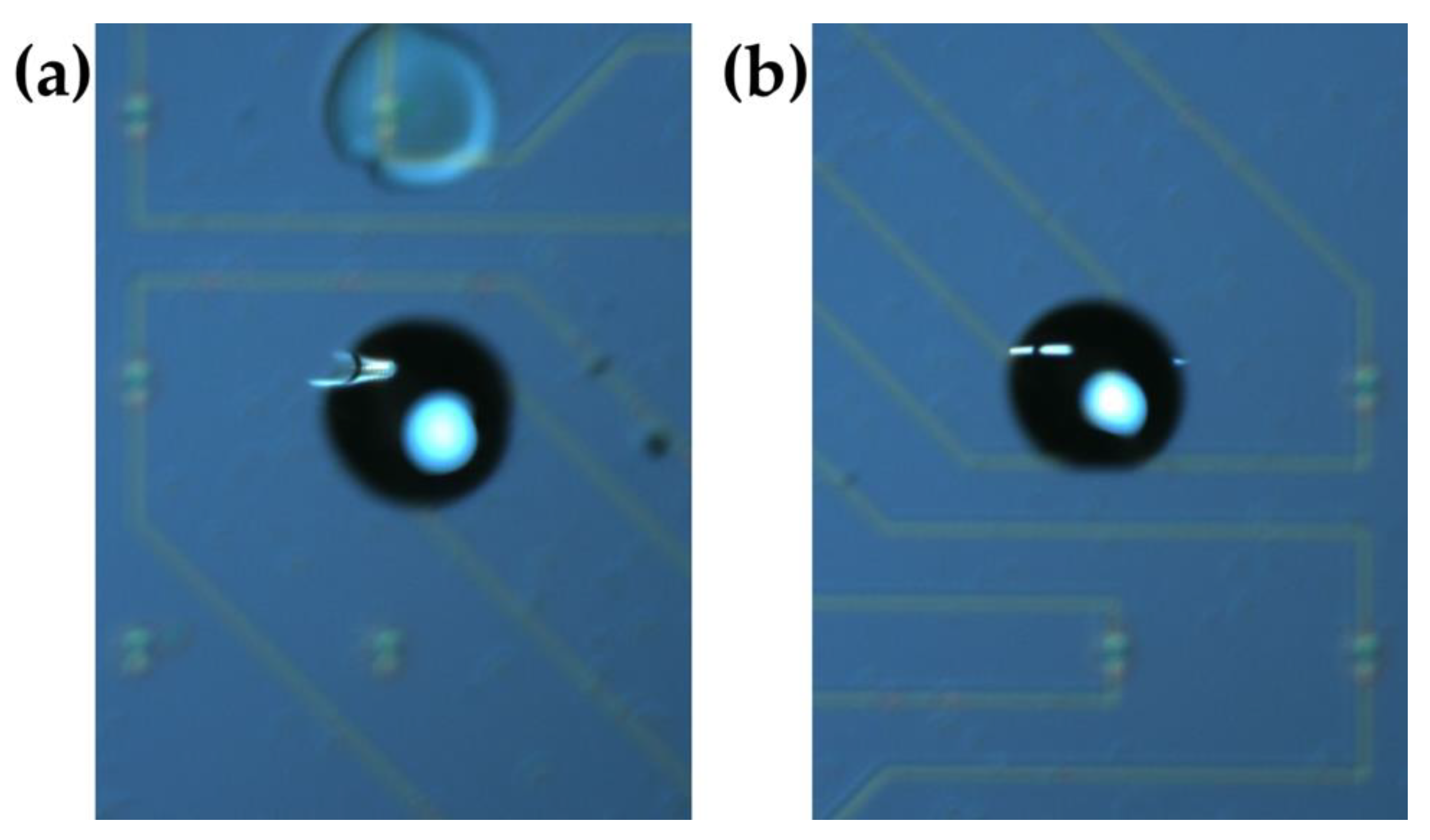 Chemosensors 09 00222 g002