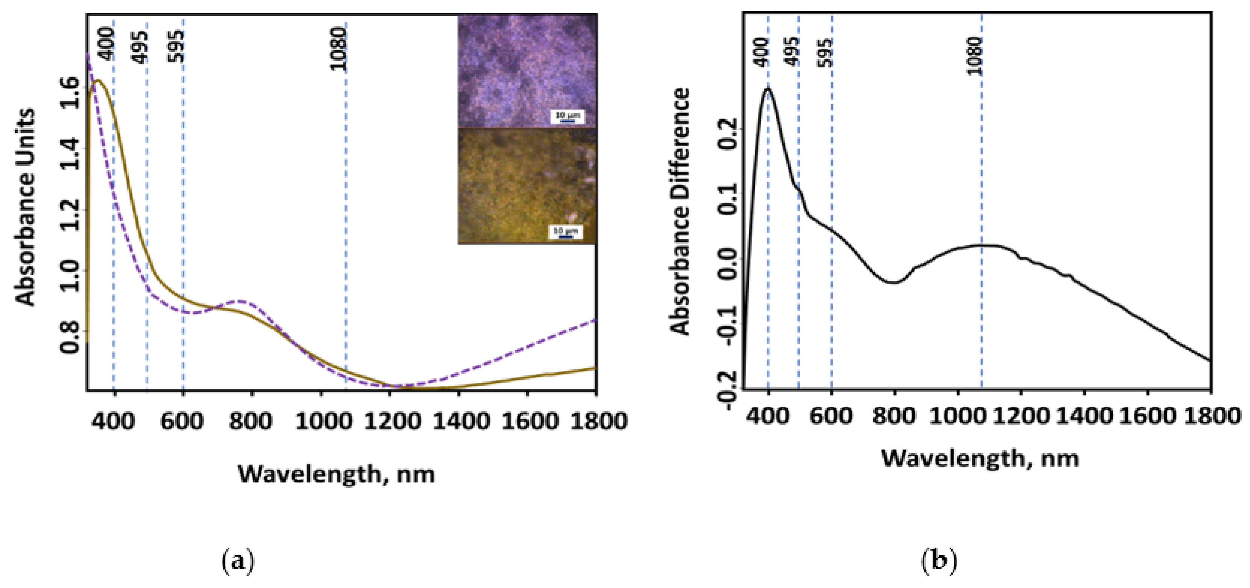 Chemosensors 09 00223 g006