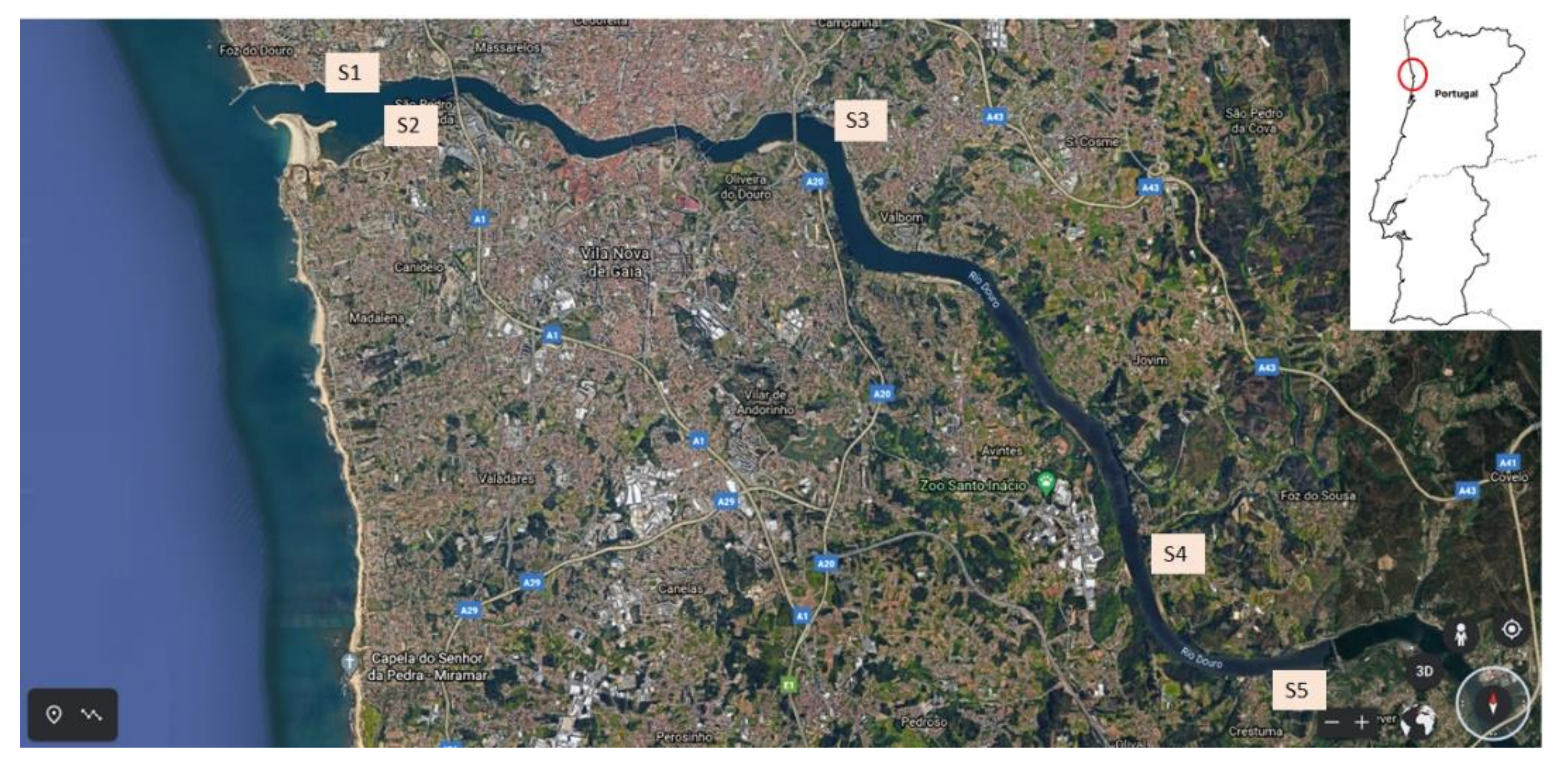 Chemosensors 09 00224 g001