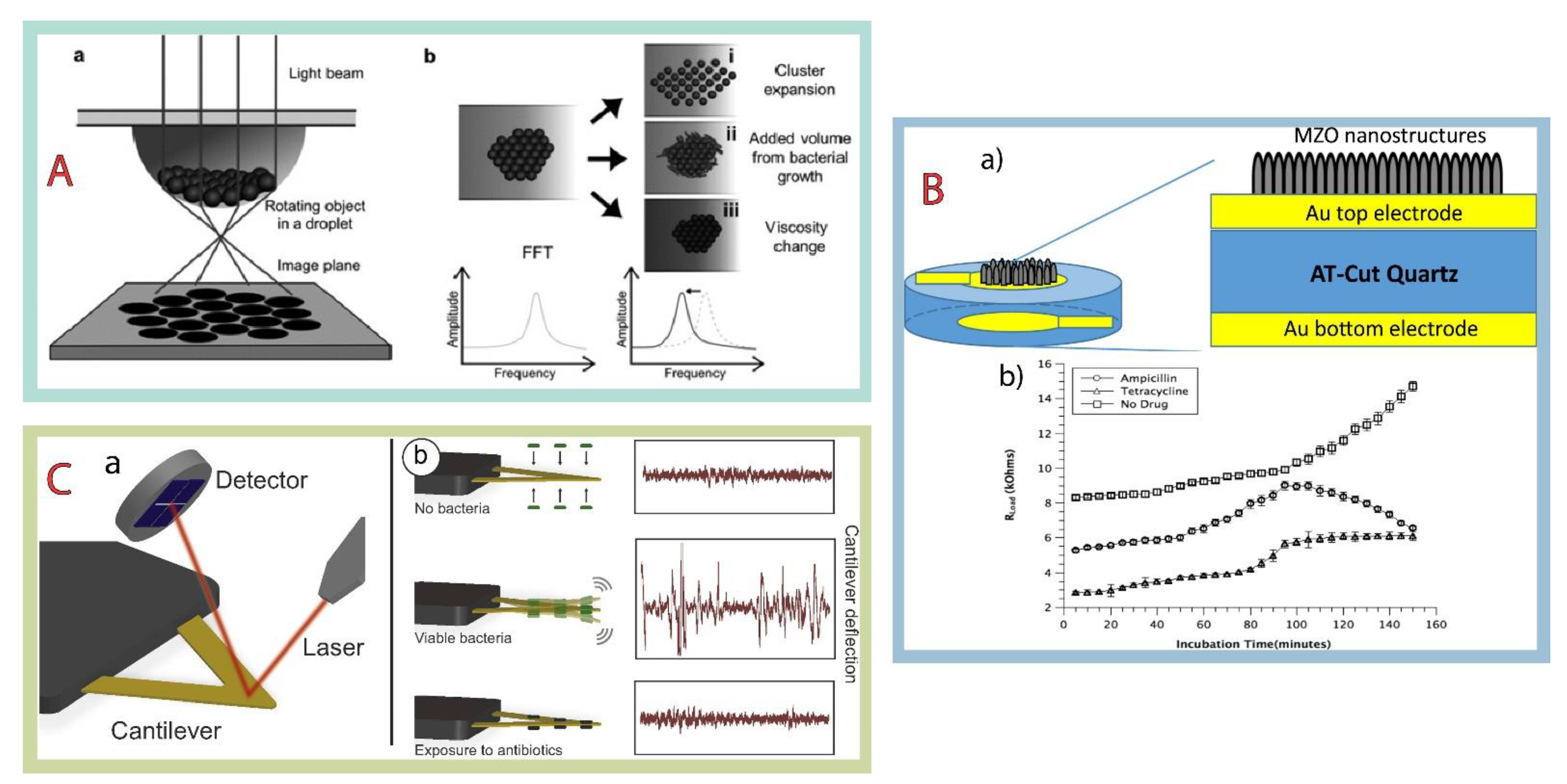 Chemosensors 09 00232 g002