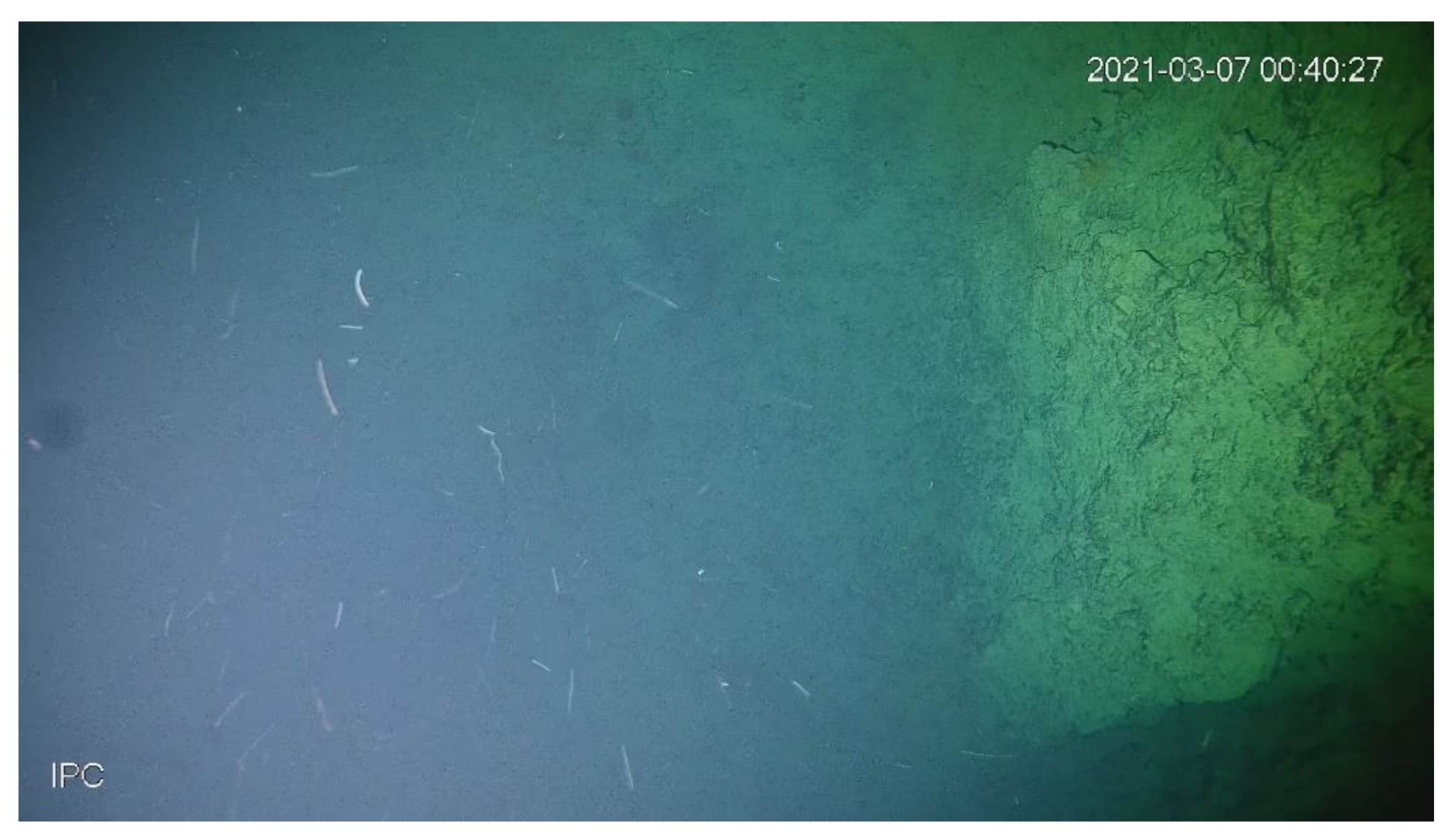 Chemosensors 09 00236 g007