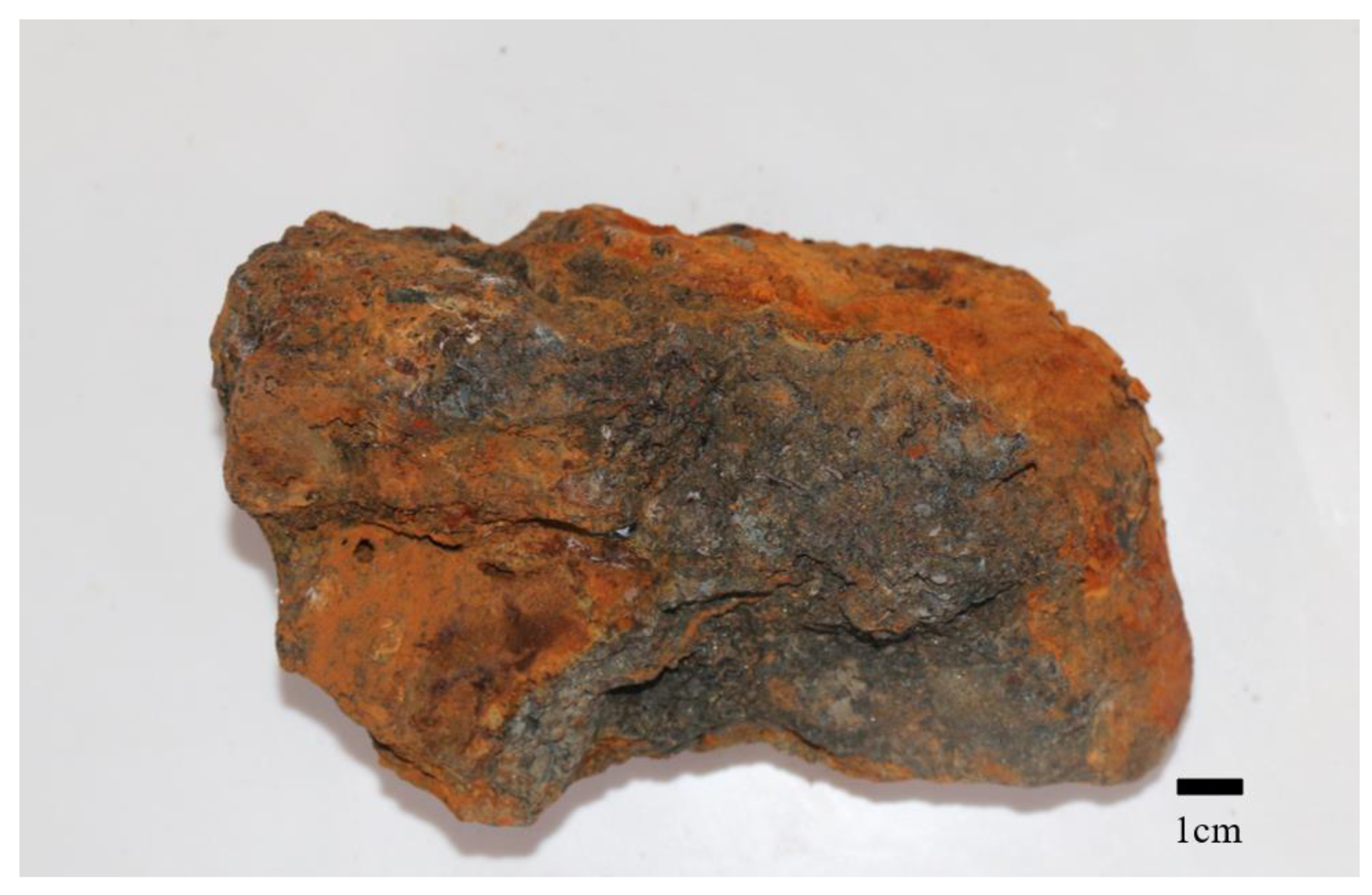 Chemosensors 09 00236 g008