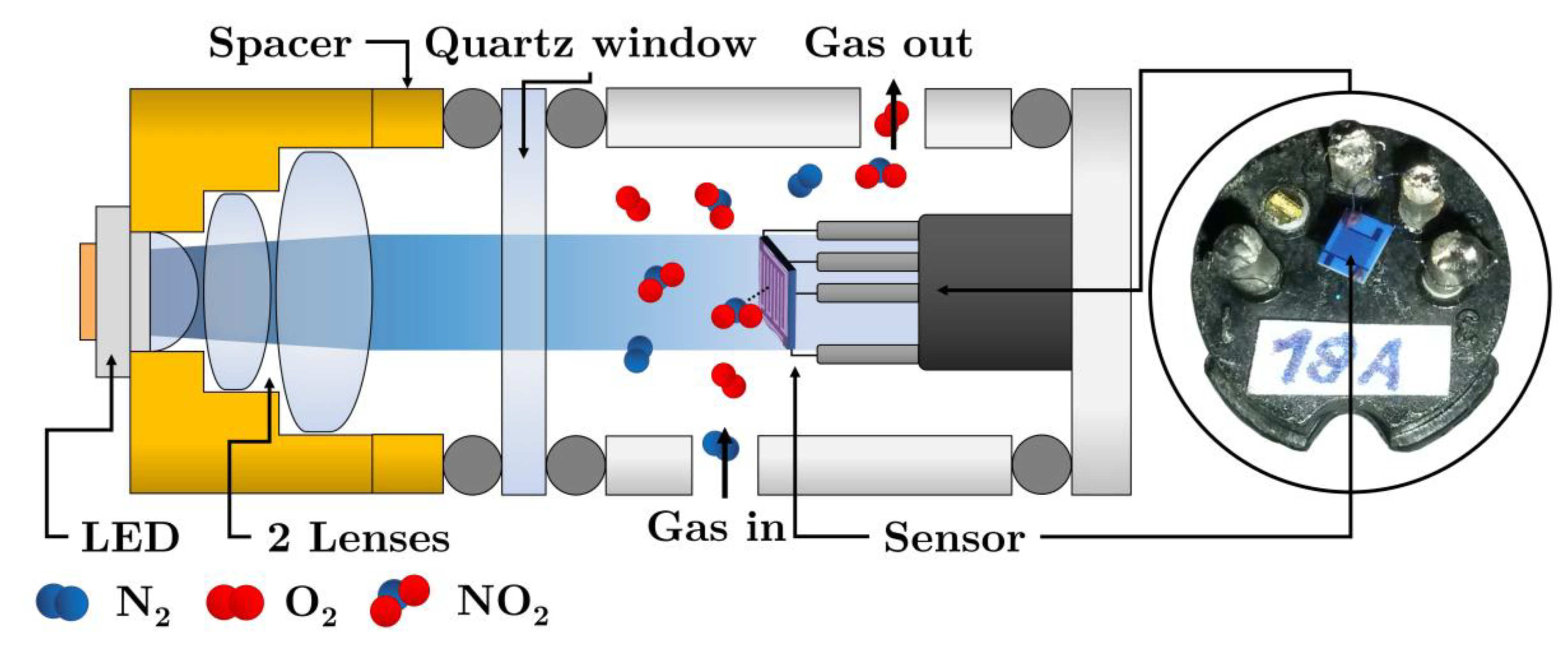 Chemosensors 09 00237 g002