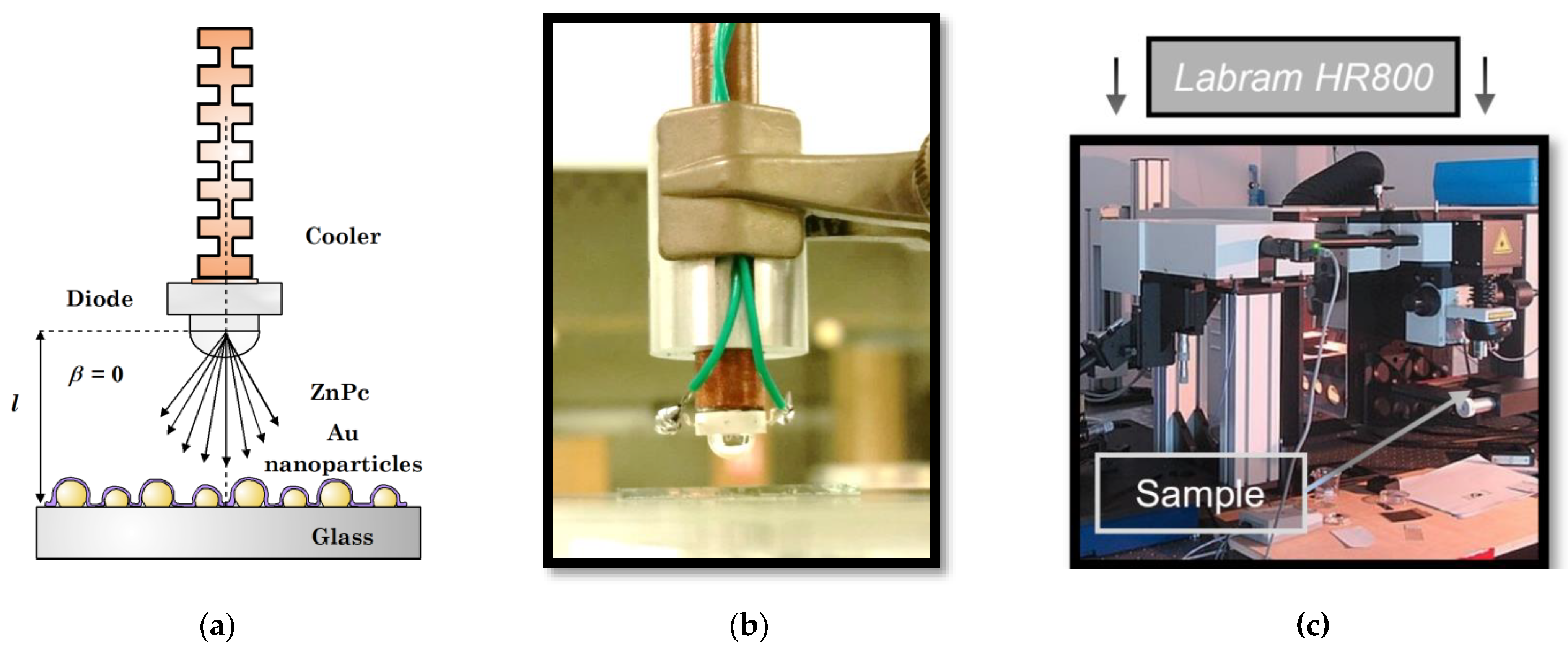 Chemosensors 09 00237 g003