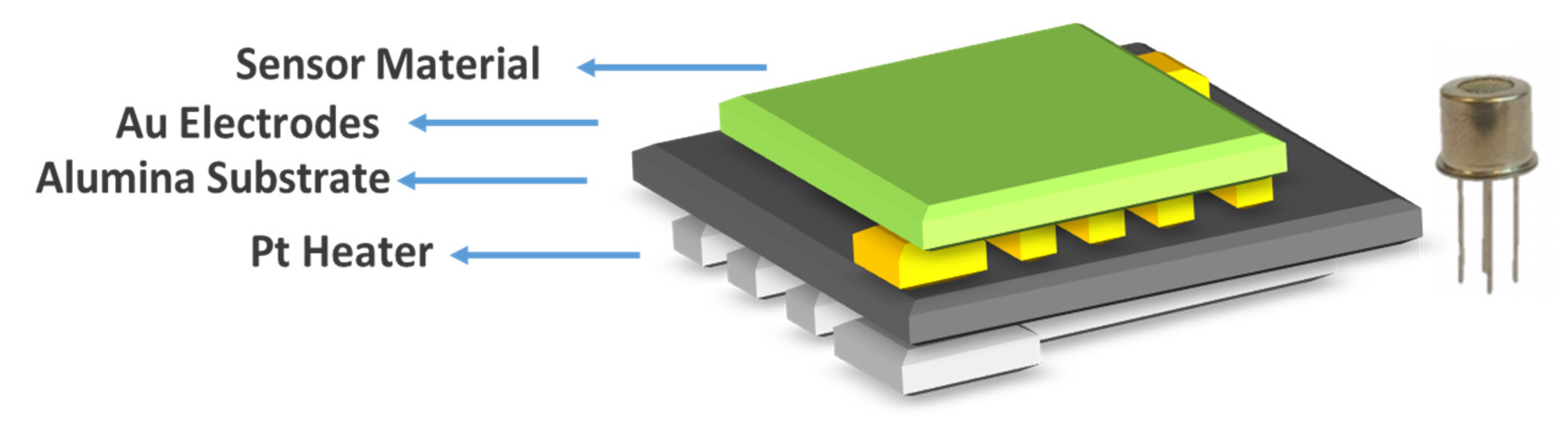 Chemosensors 09 00247 g001